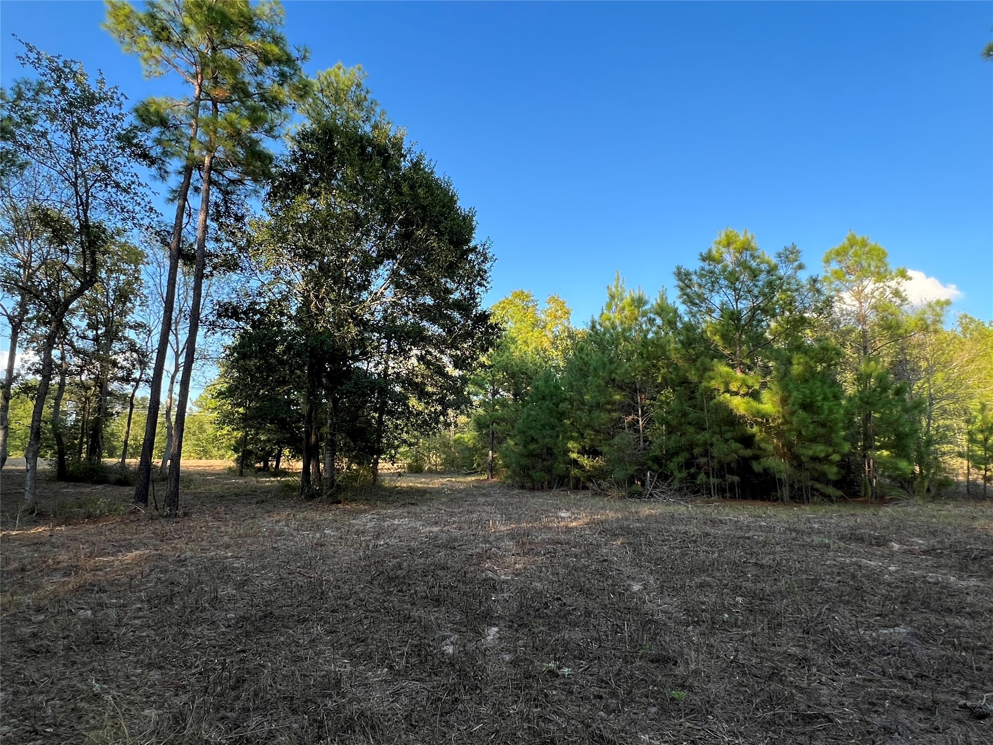 4604 Highway 105 E Property Photo 18