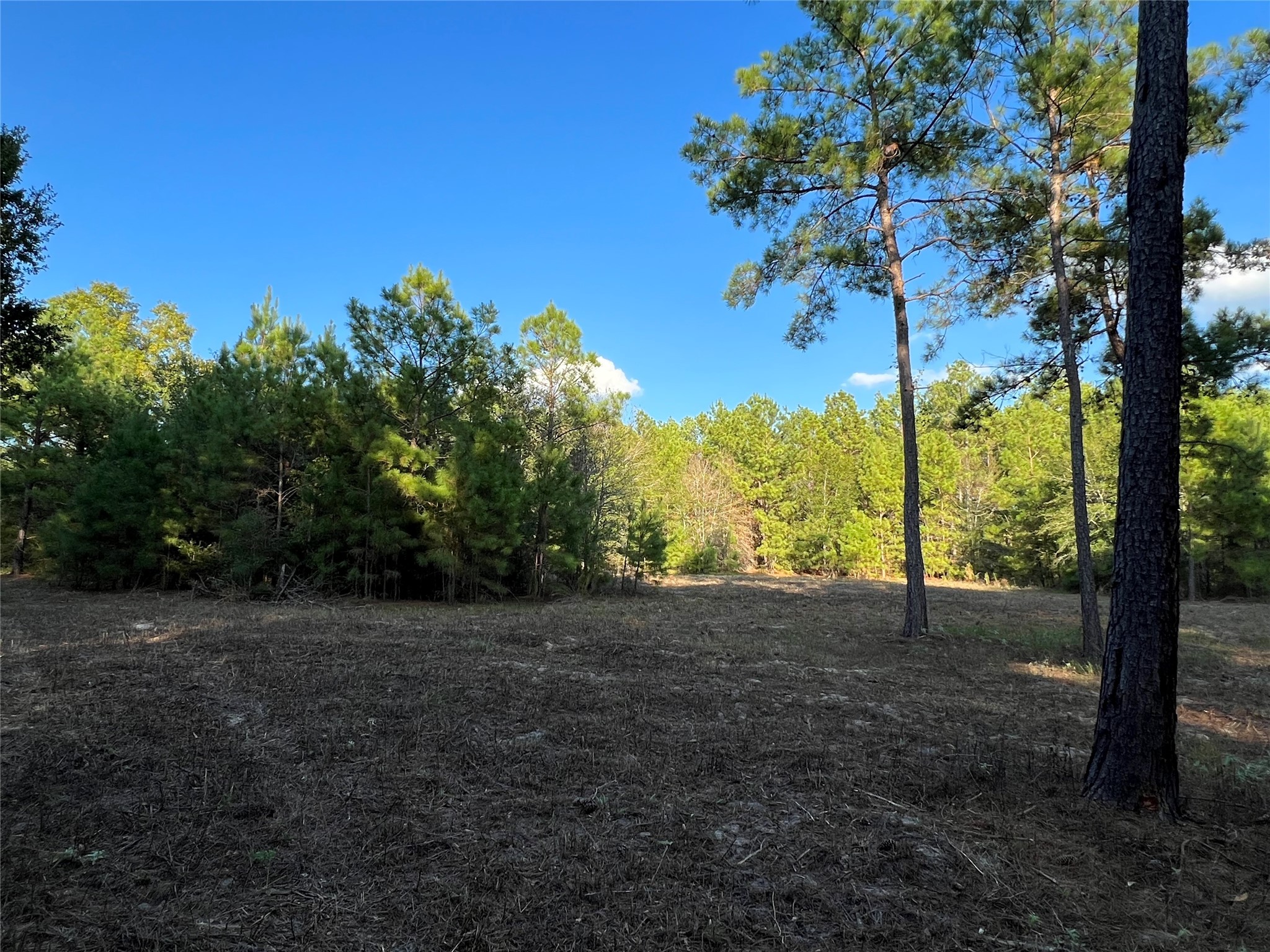 4604 Highway 105 E Property Photo 19