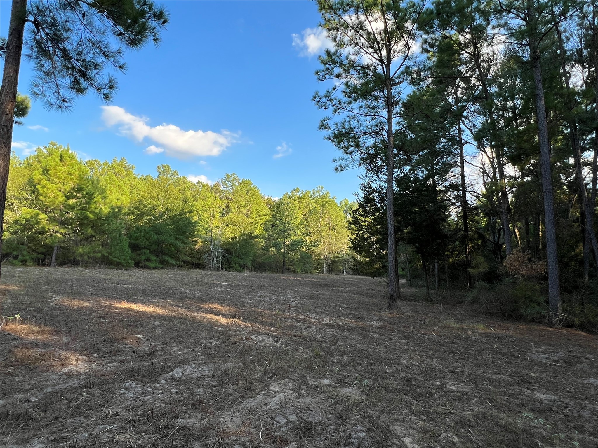 4604 Highway 105 E Property Photo 20