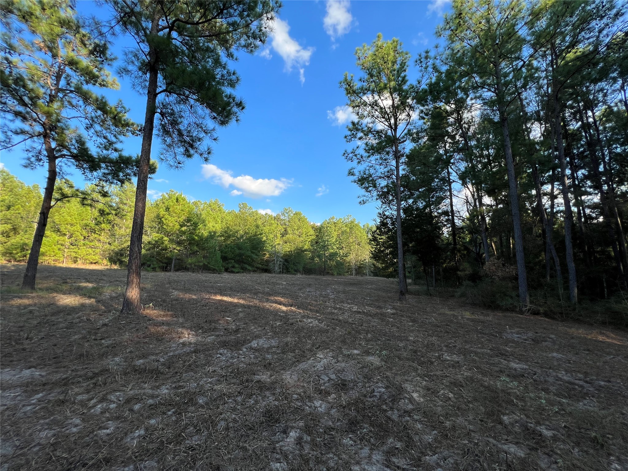 4604 Highway 105 E Property Photo 21