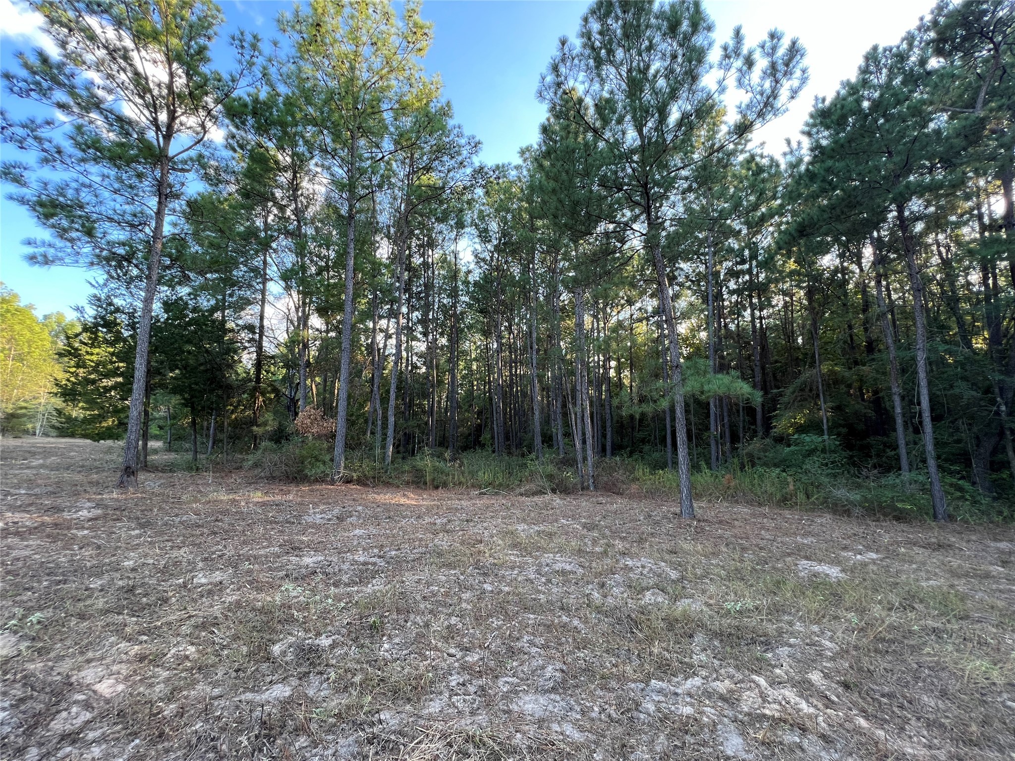 4604 Highway 105 E Property Photo 22