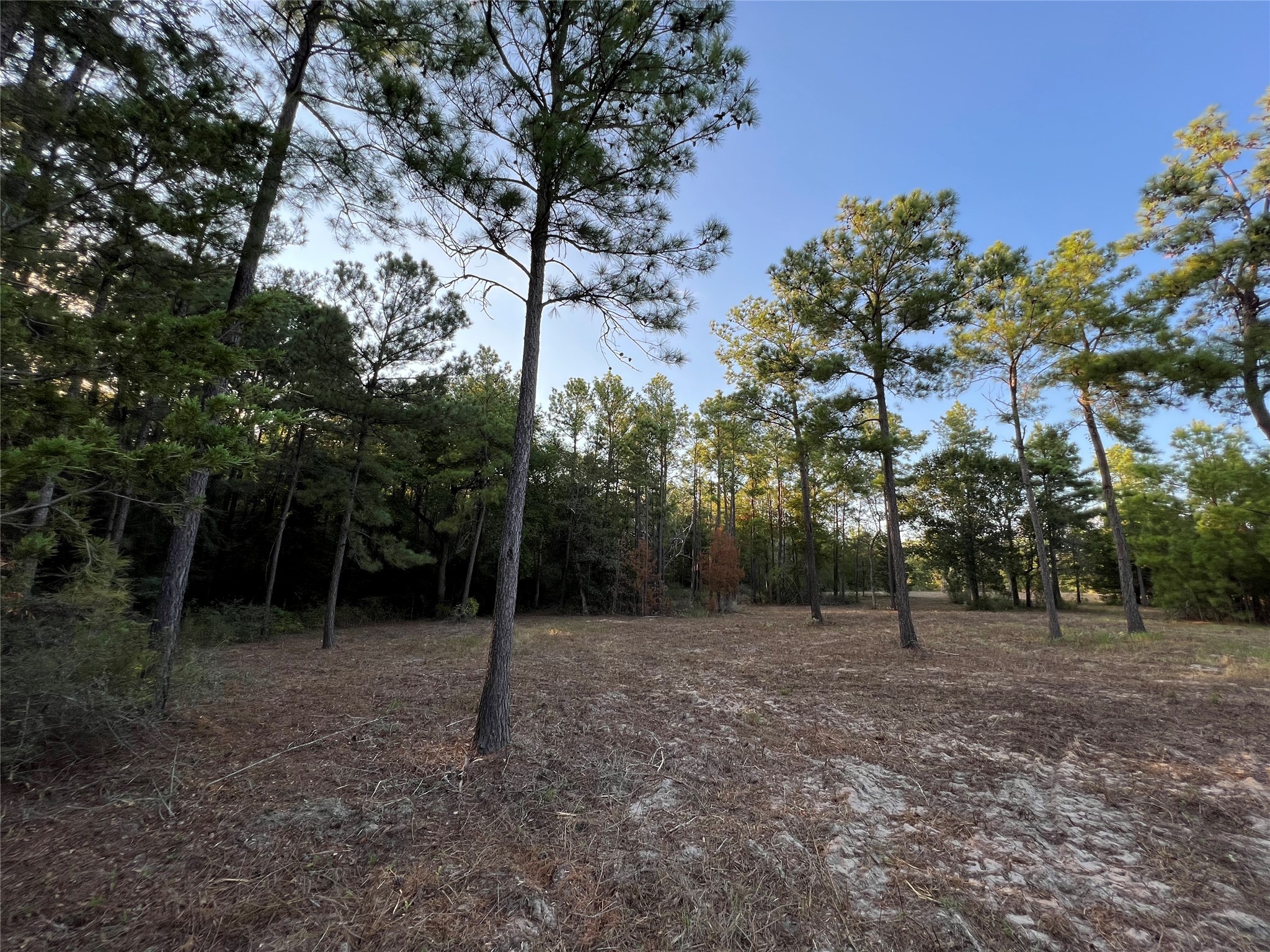 4604 Highway 105 E Property Photo 24