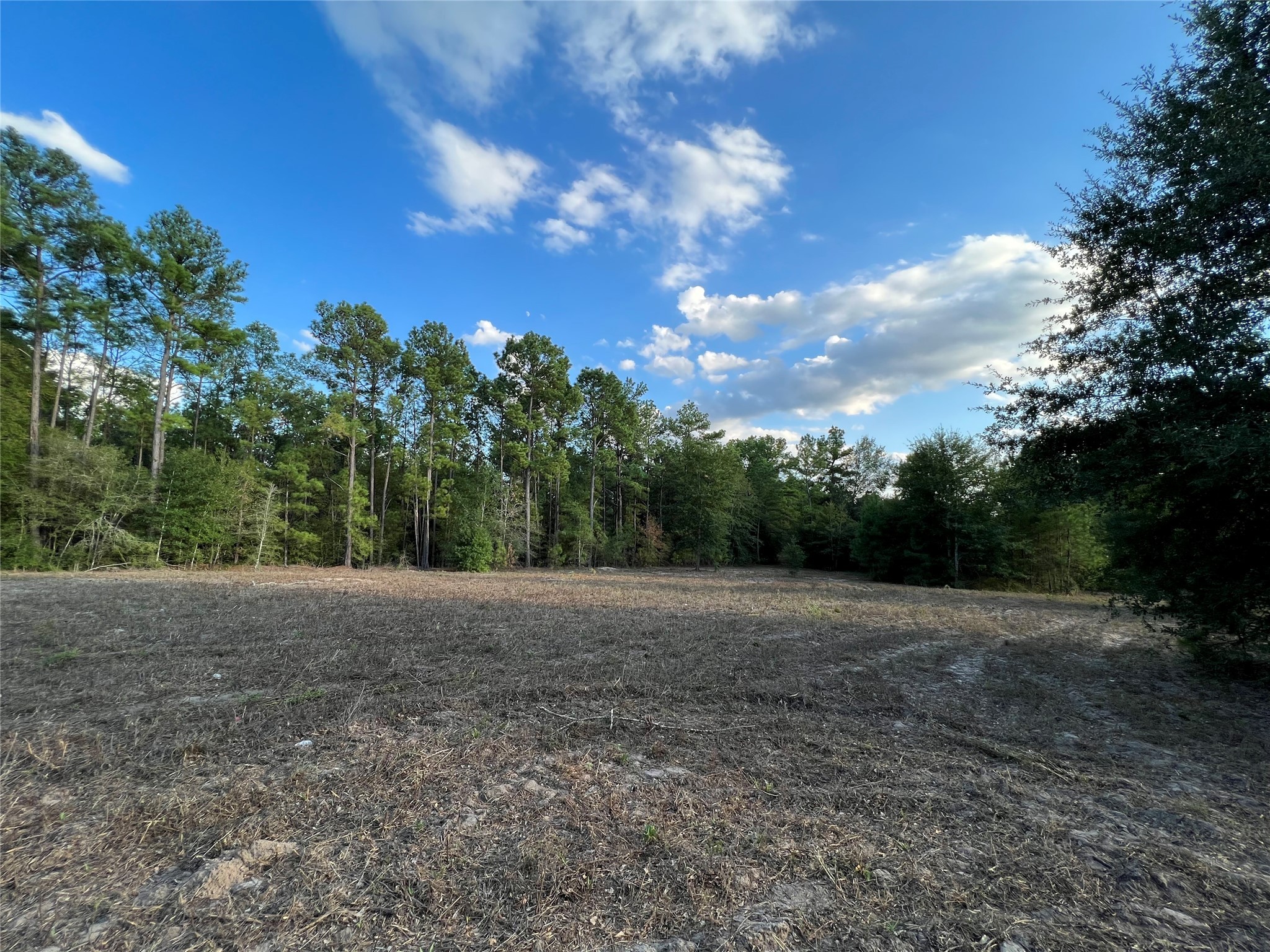 4604 Highway 105 E Property Photo 25