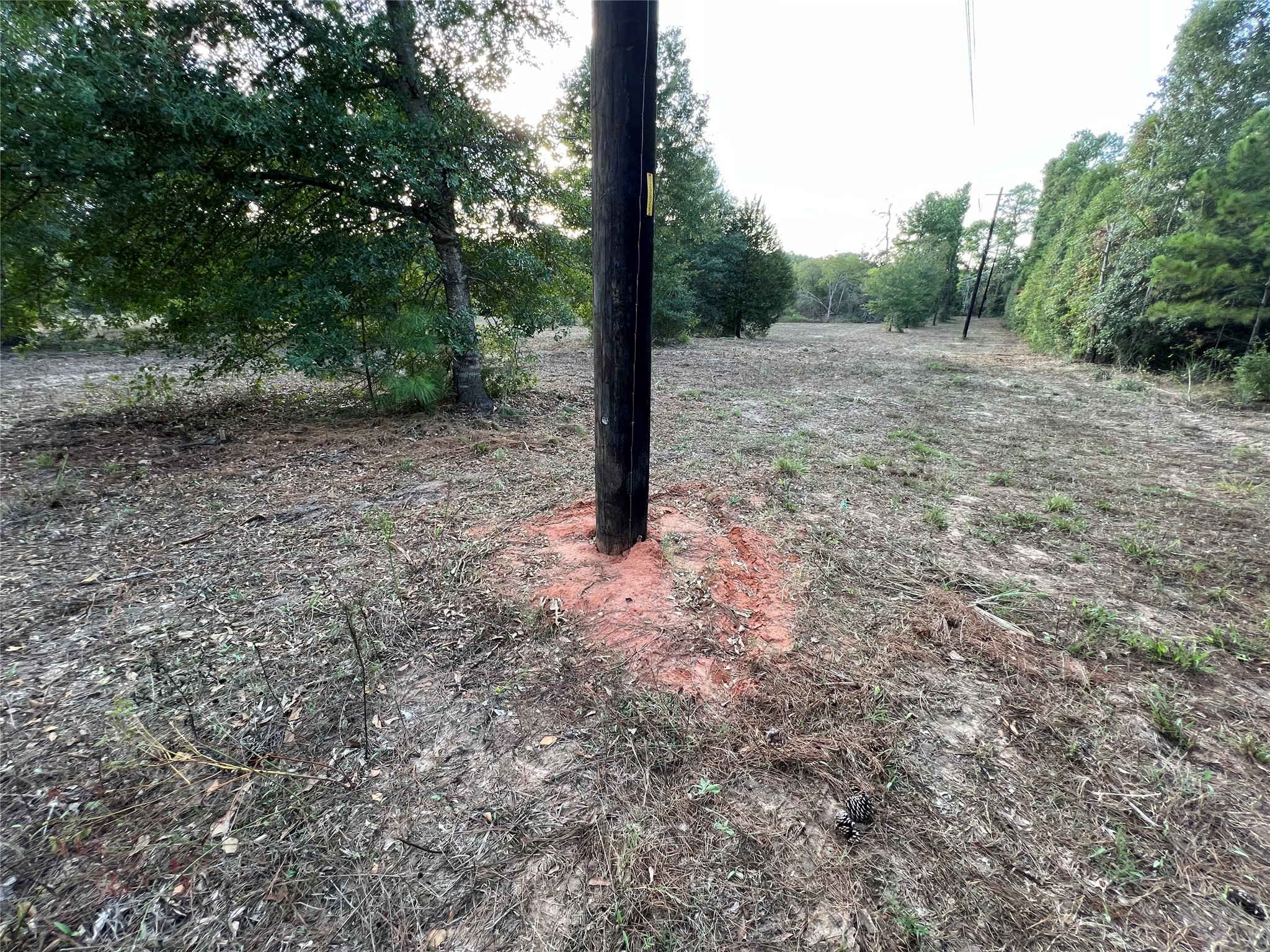 4604 Highway 105 E Property Photo 26