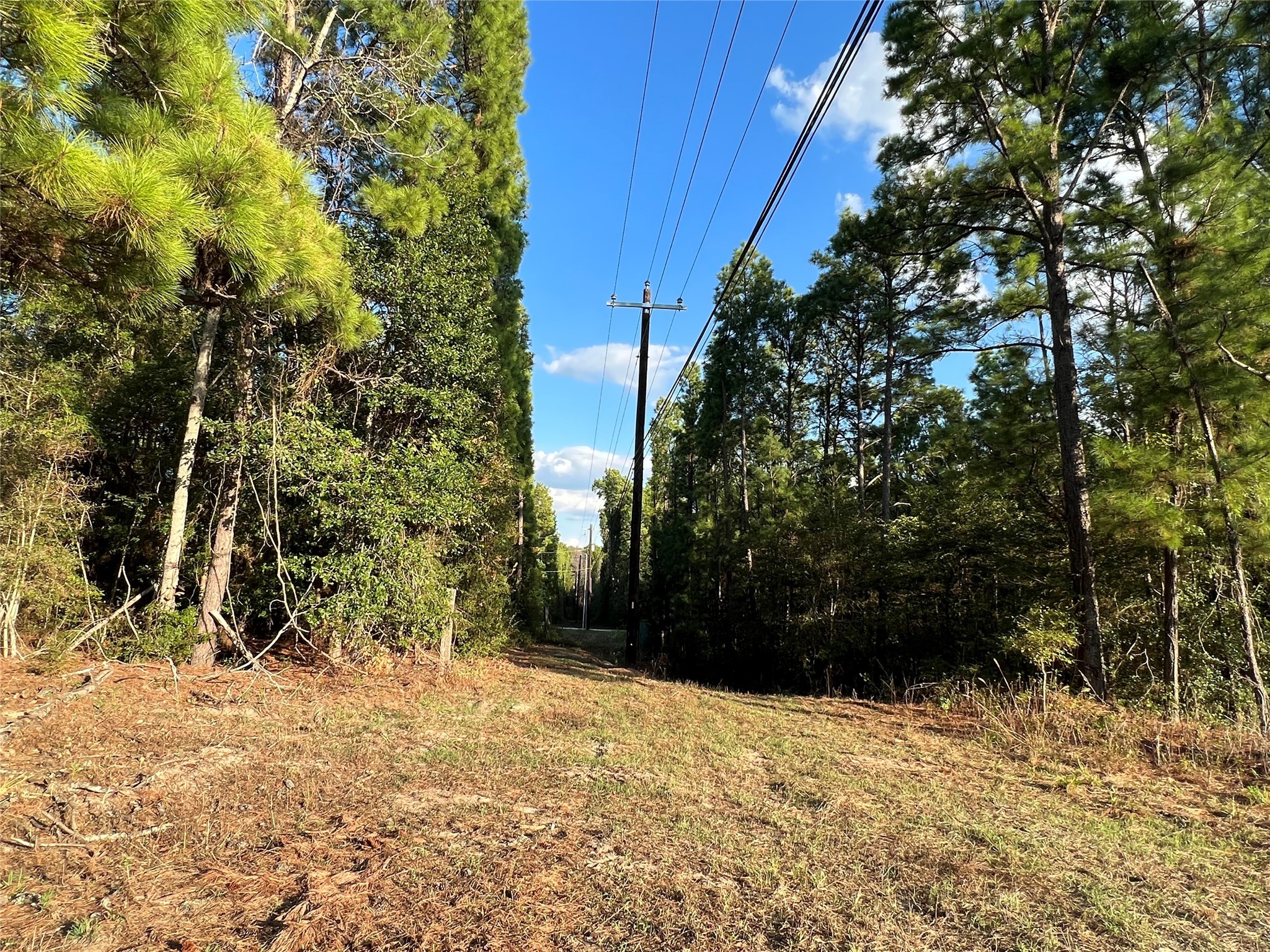 4604 Highway 105 E Property Photo 27