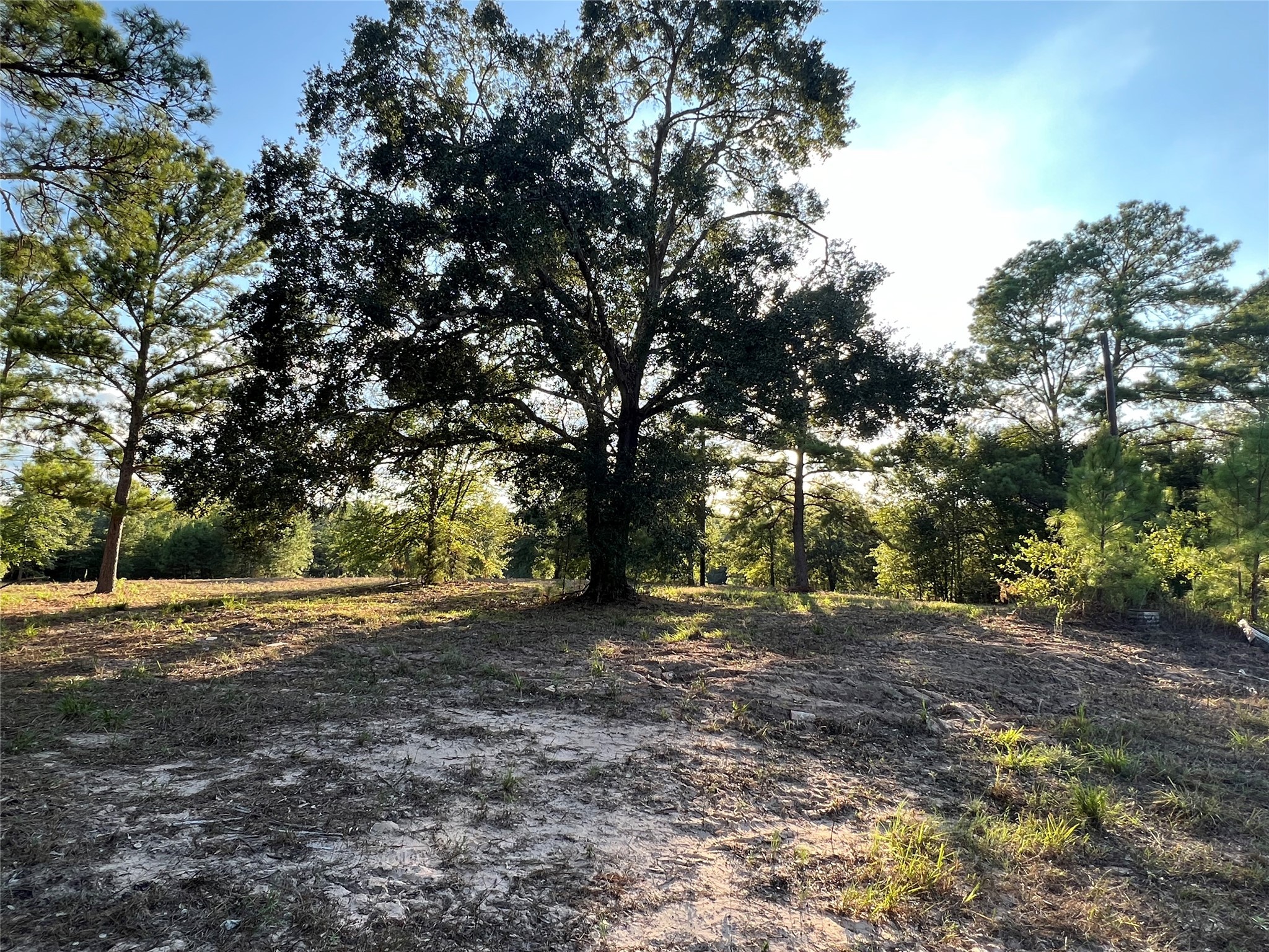 4604 Highway 105 E Property Photo 28