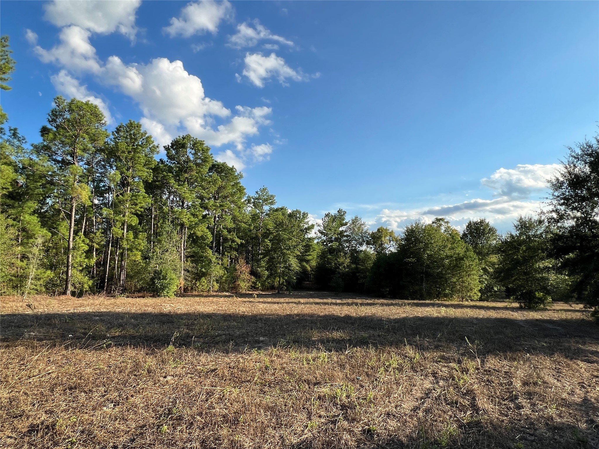 4604 Highway 105 E Property Photo 30