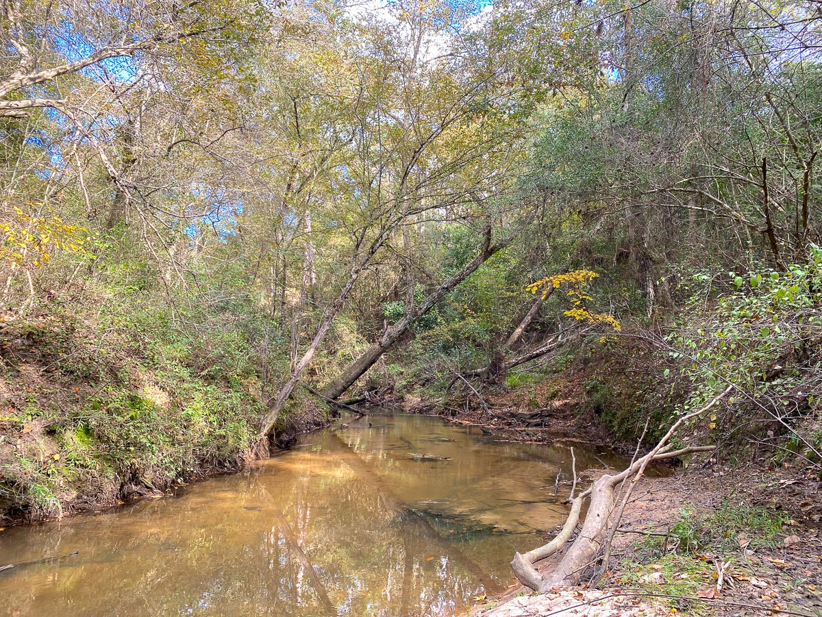 S3l2 Lake Pool Rd Property Photo 3