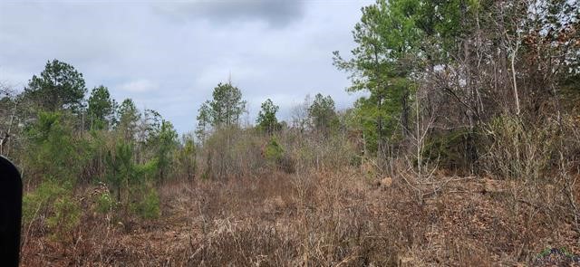 00 County Road 3212 Property Photo