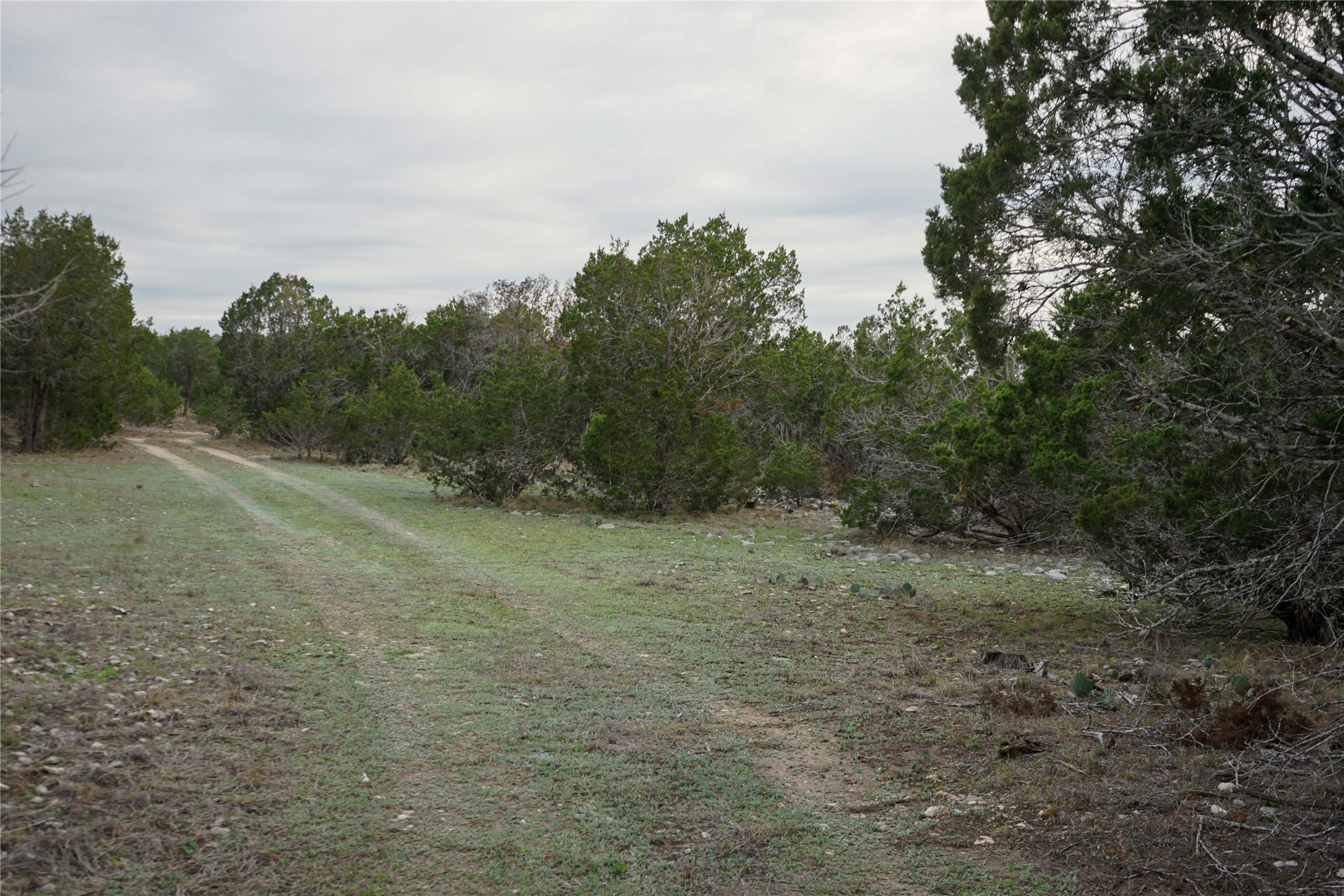 1450 Primrose Property Photo 3