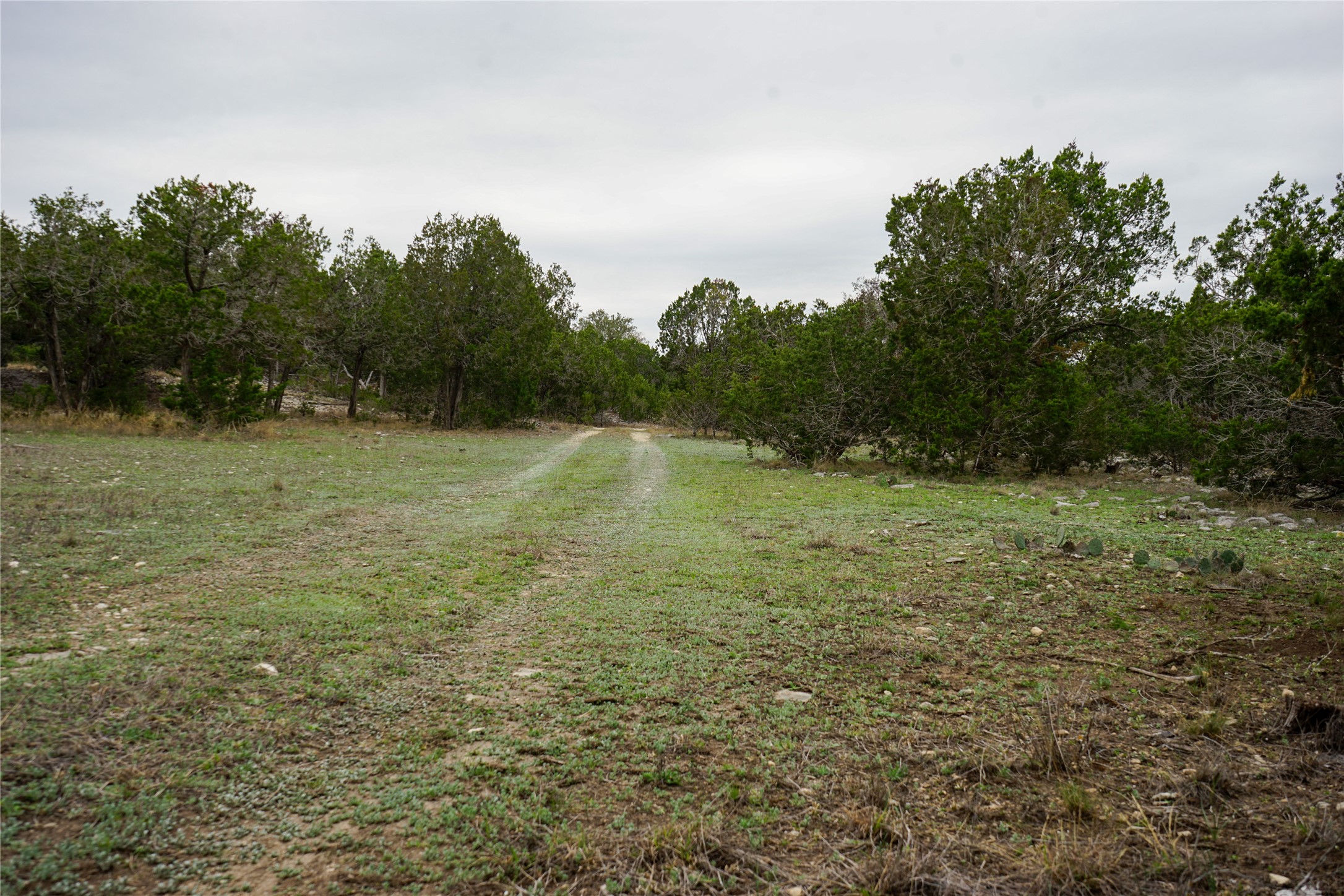 1450 Primrose Property Photo 26