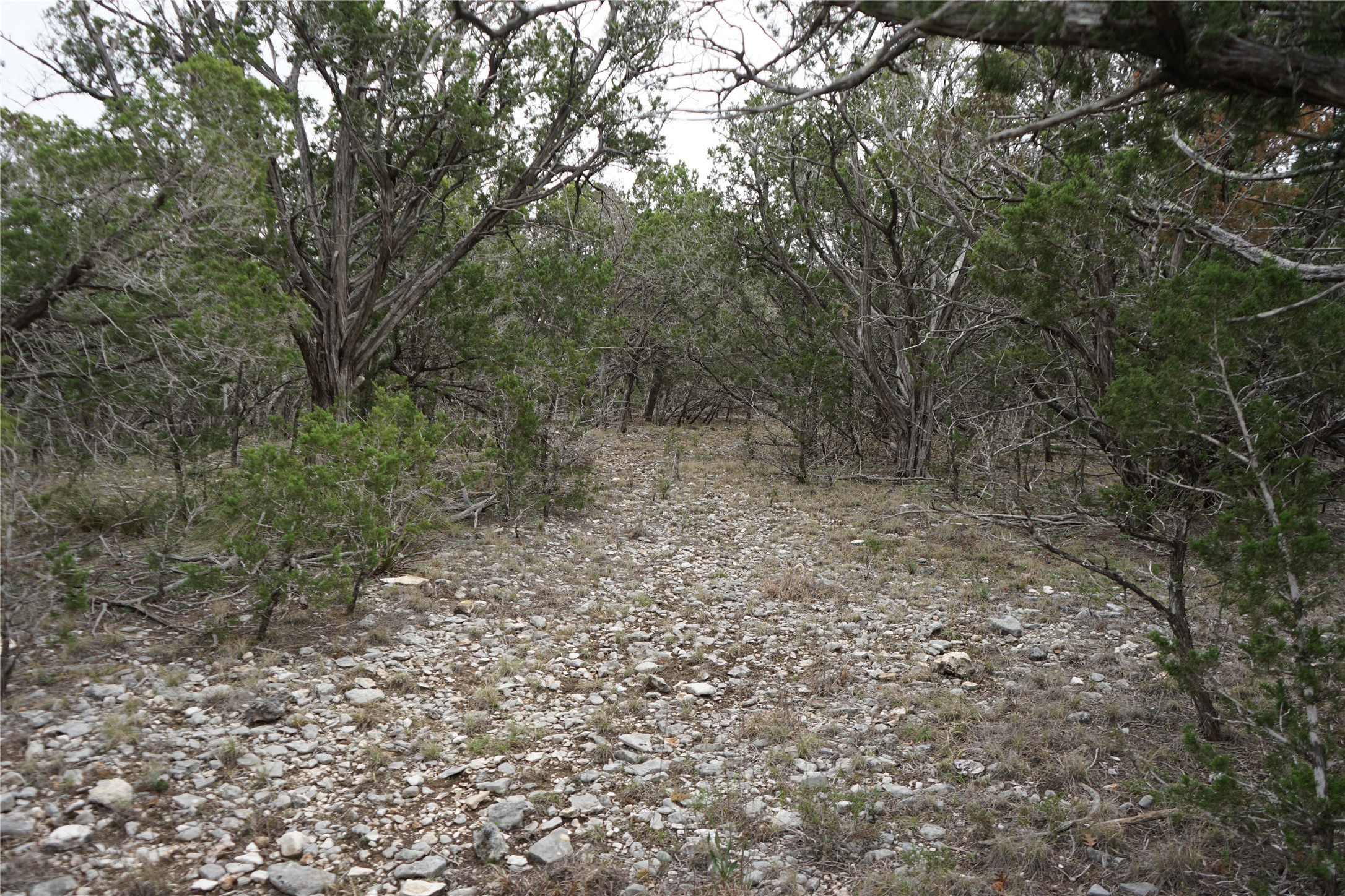 1450 Primrose Property Photo 35