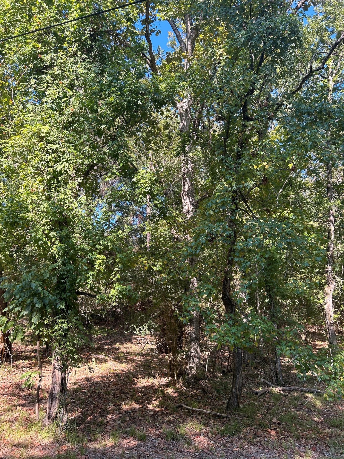 Tbd Joanna Hill Property Photo 1