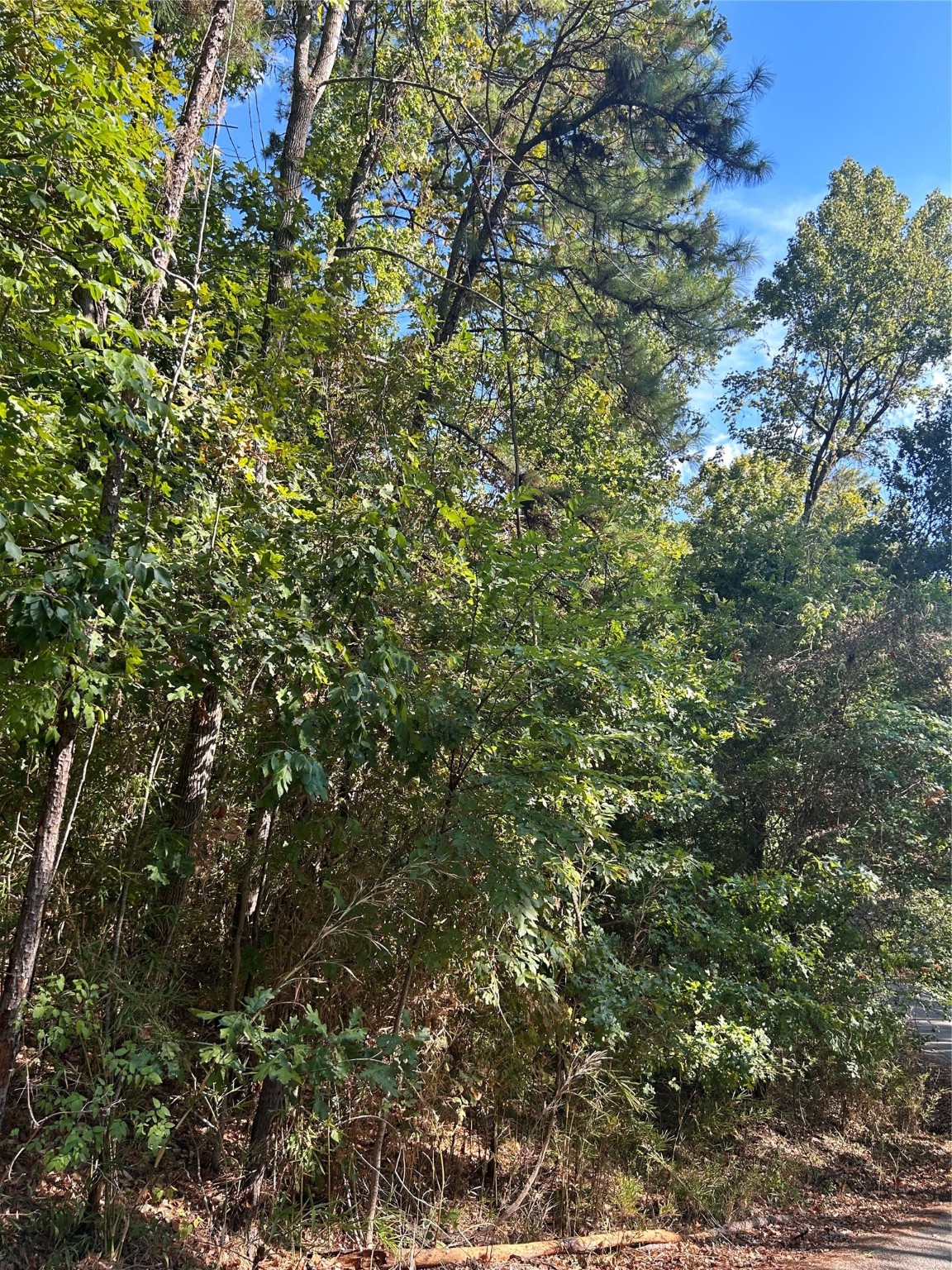 Tbd Joanna Hill Property Photo 3