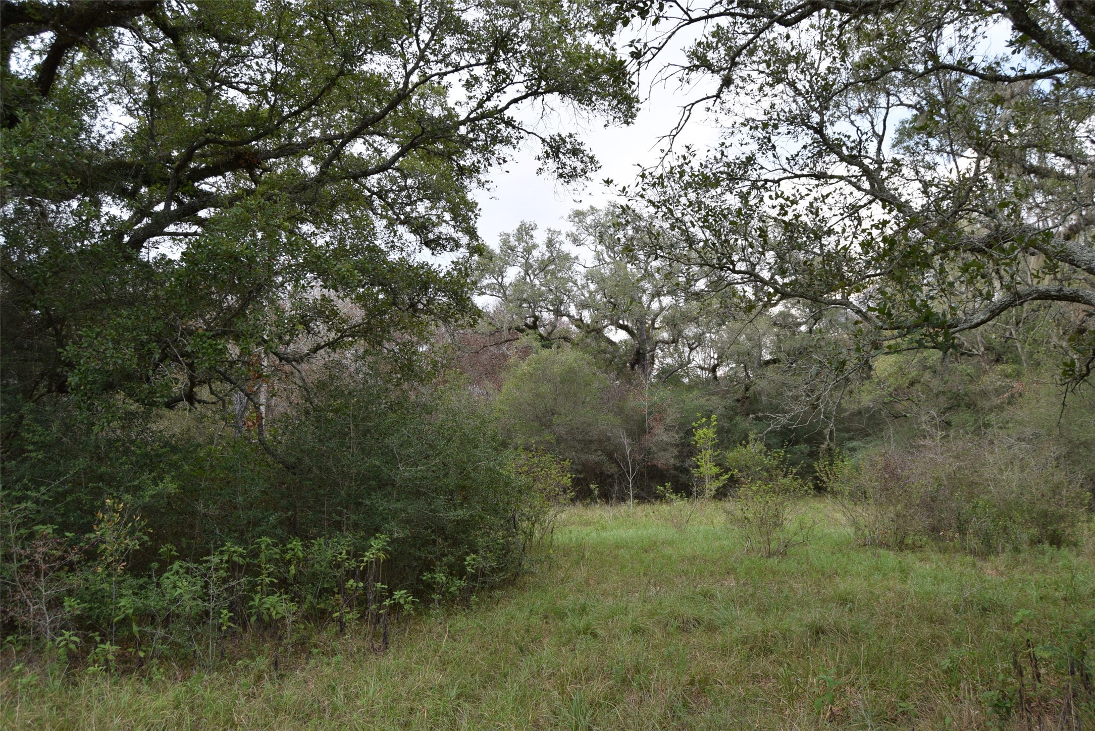 00 Lake View Road Property Photo 4