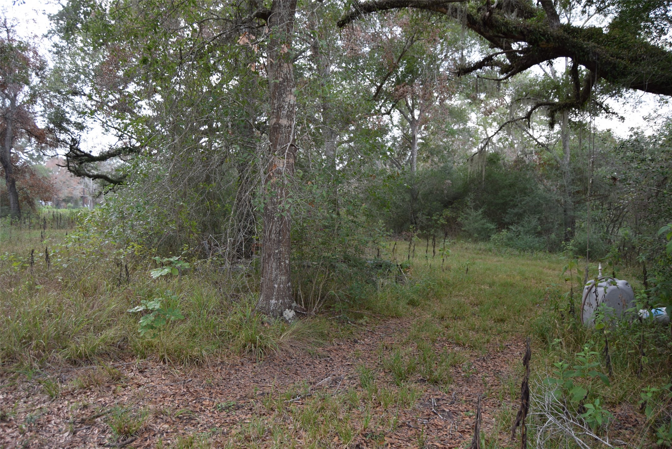 00 Lake View Road Property Photo 6