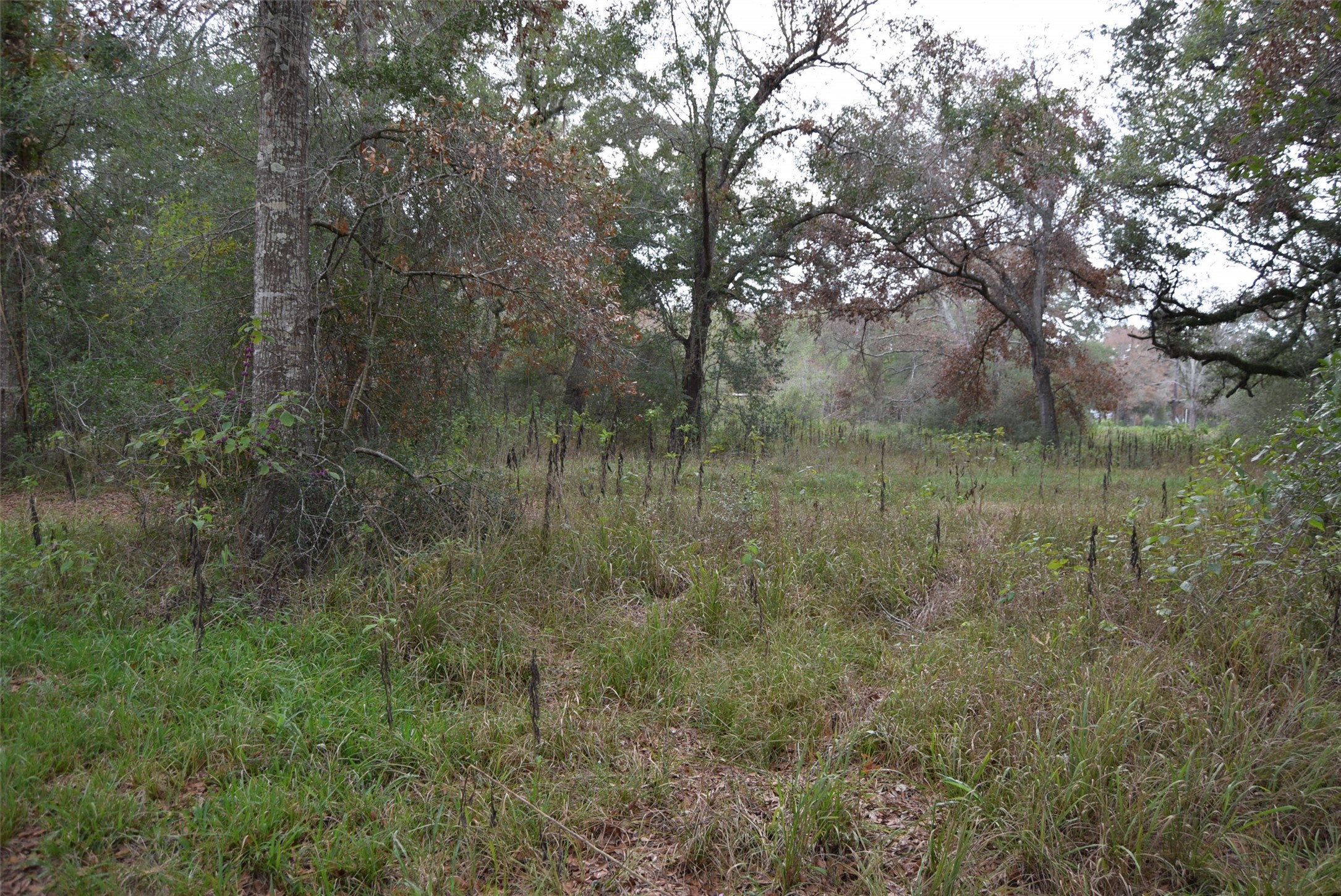 00 Lake View Road Property Photo 8