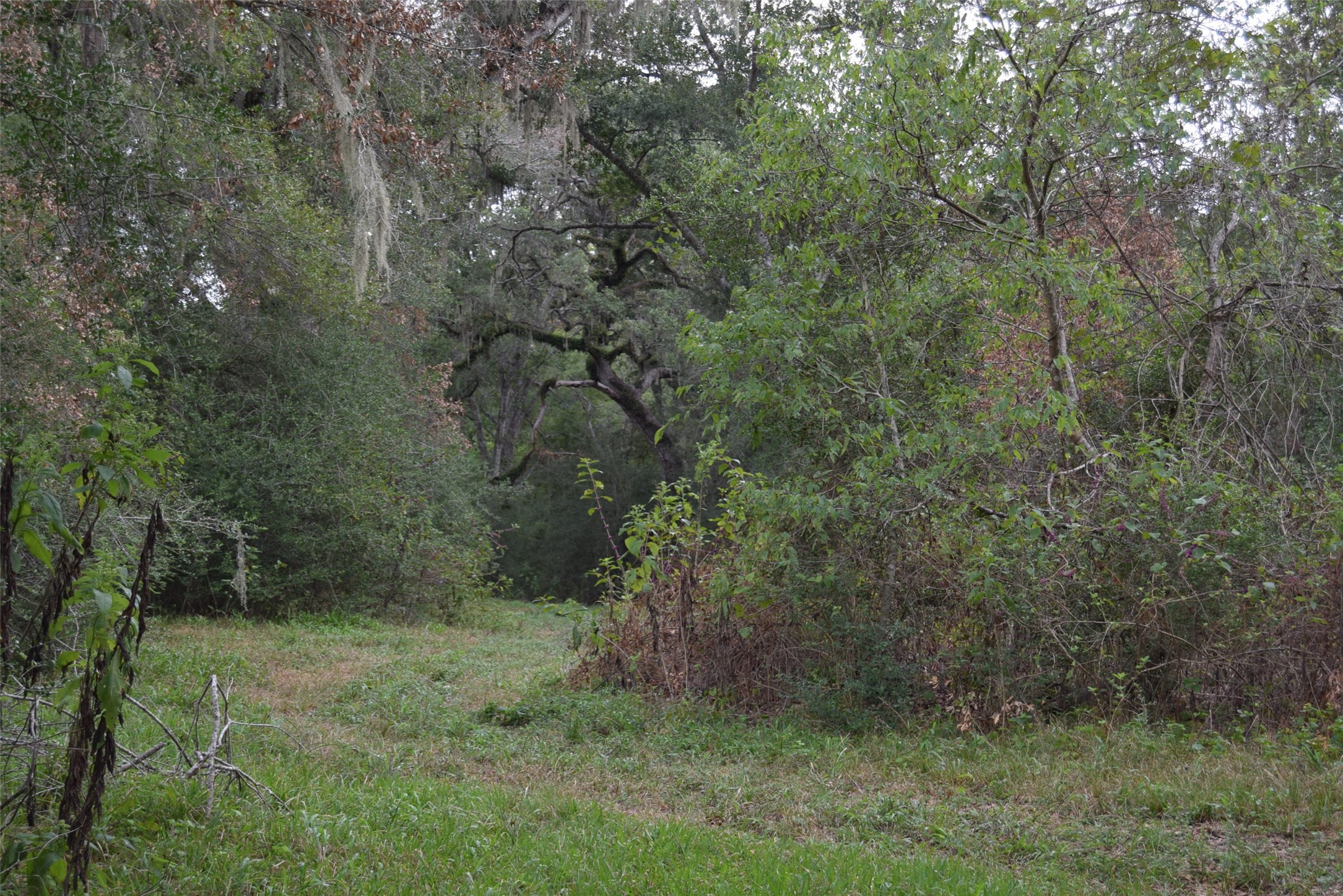 00 Lake View Road Property Photo 9
