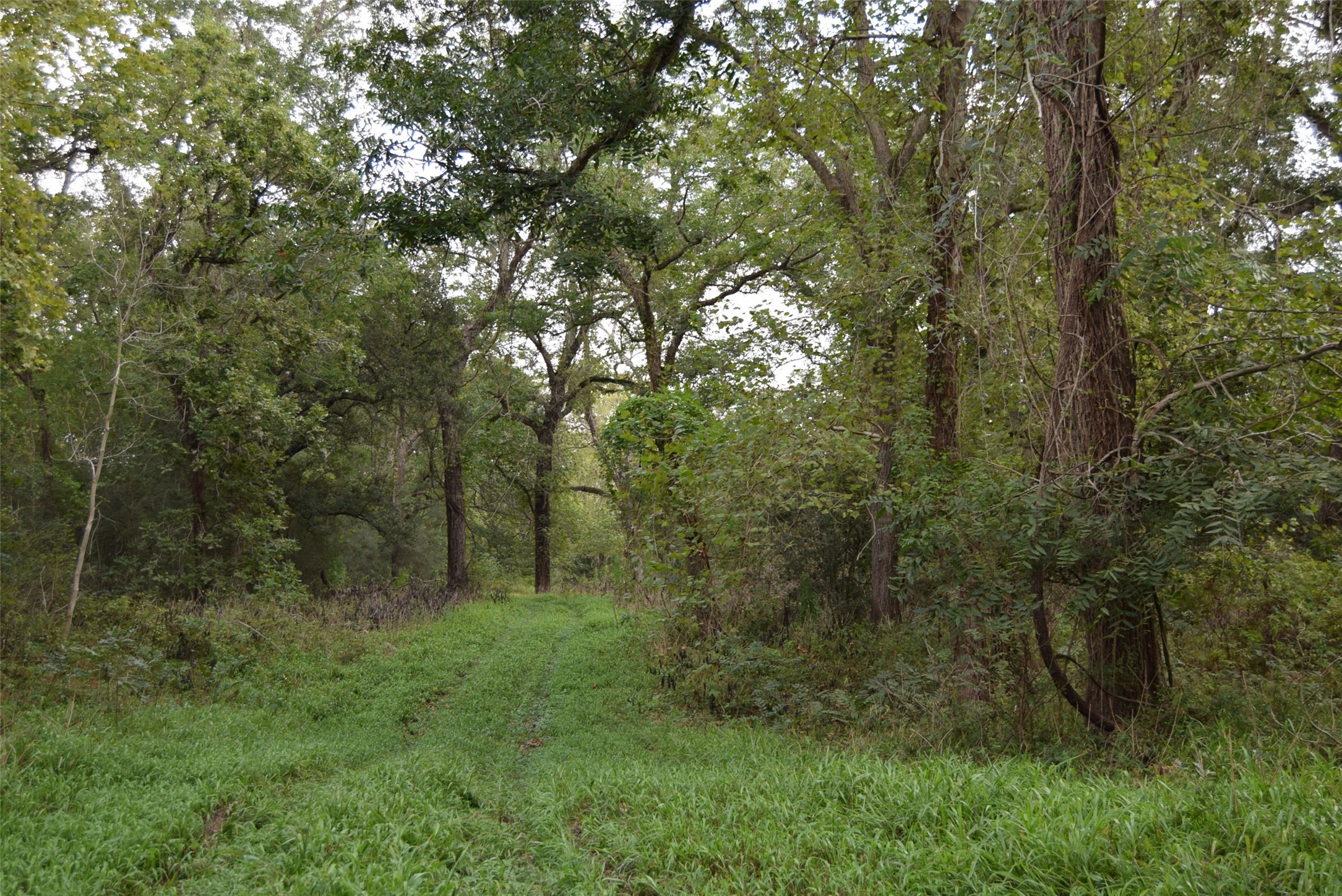 00 Lake View Road Property Photo 10