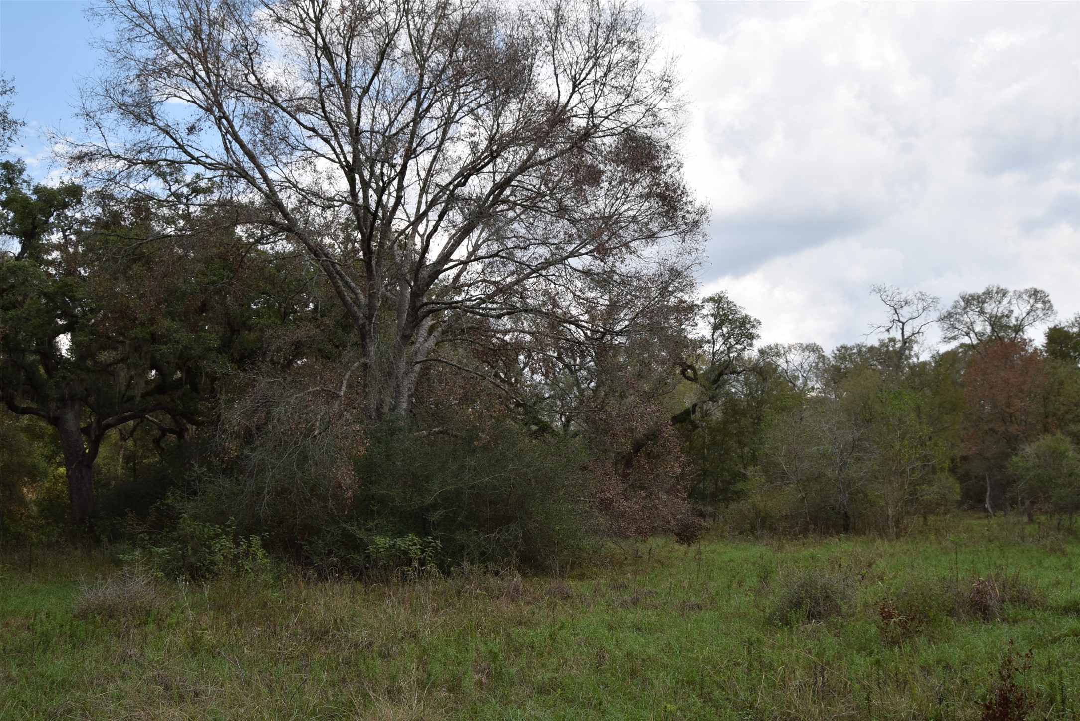 00 Lake View Road Property Photo 11