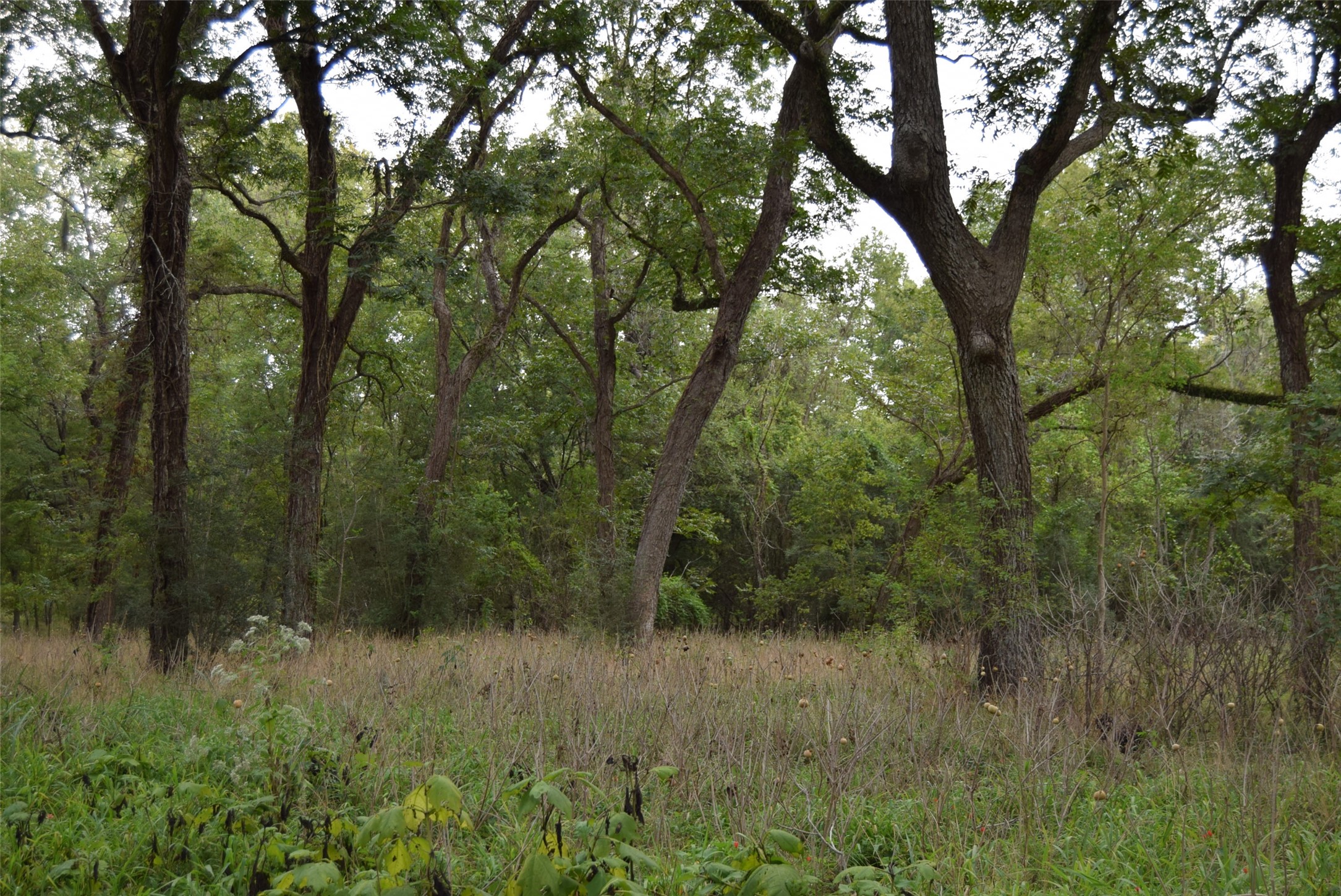 00 Lake View Road Property Photo 14