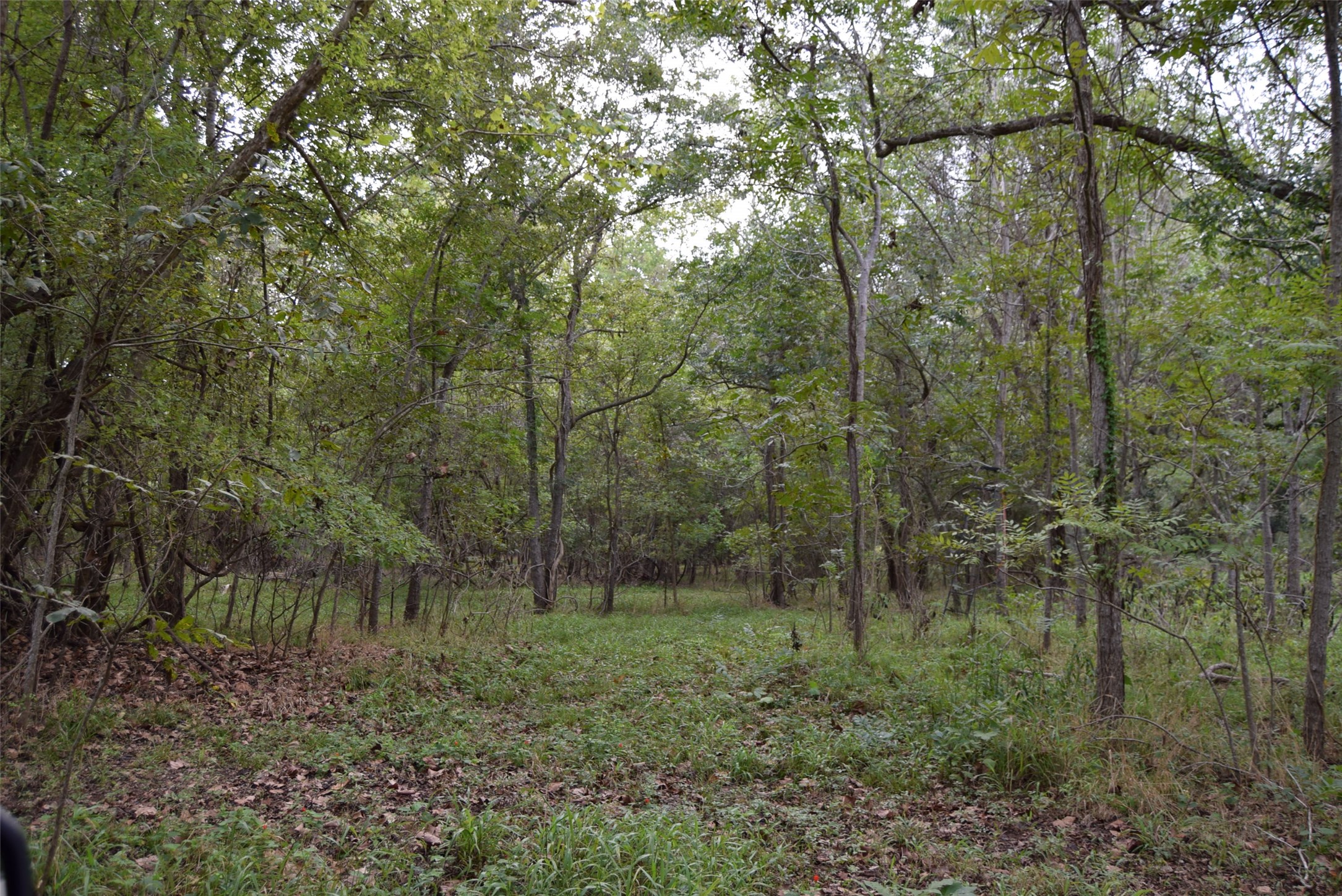00 Lake View Road Property Photo 17