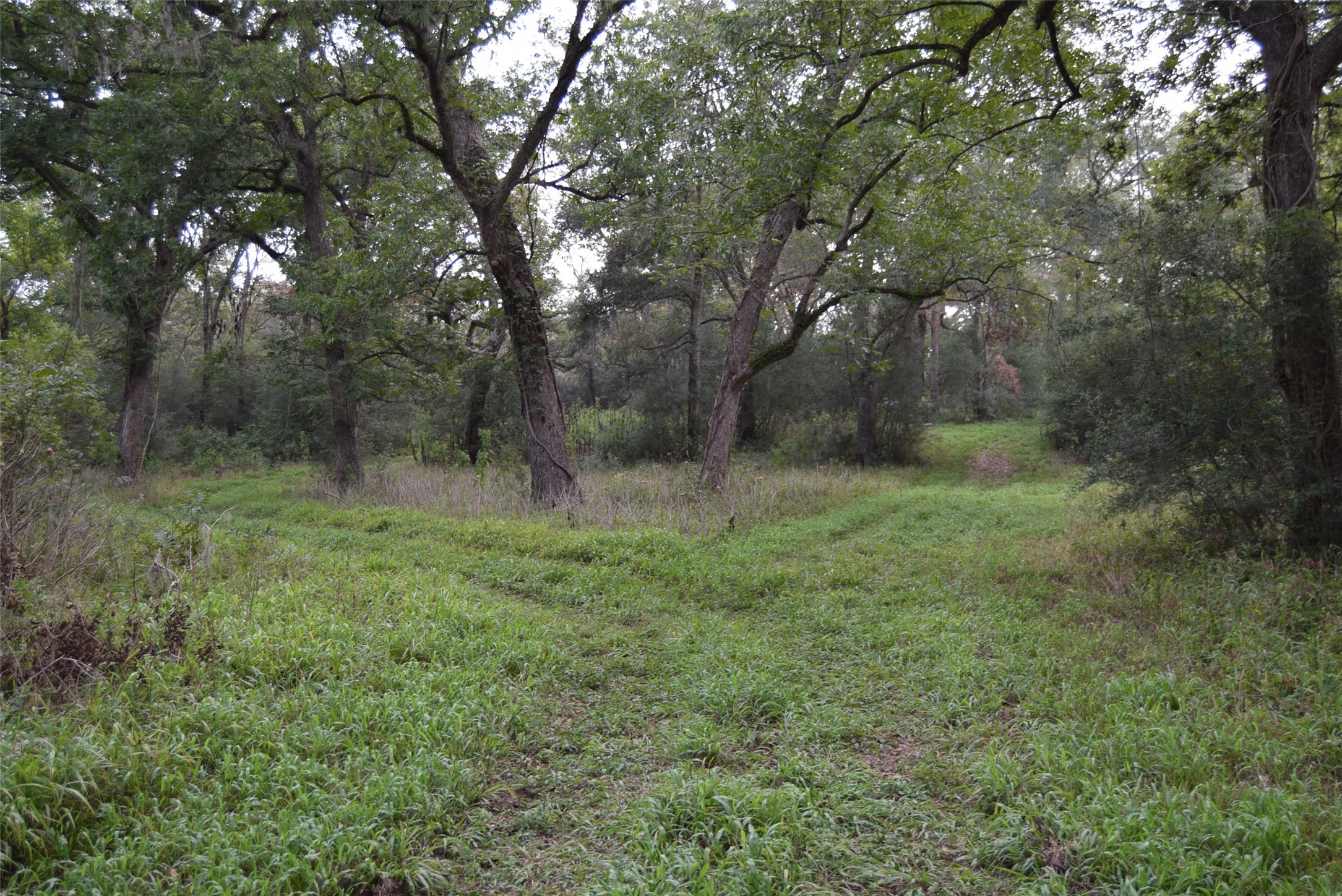 00 Lake View Road Property Photo 23