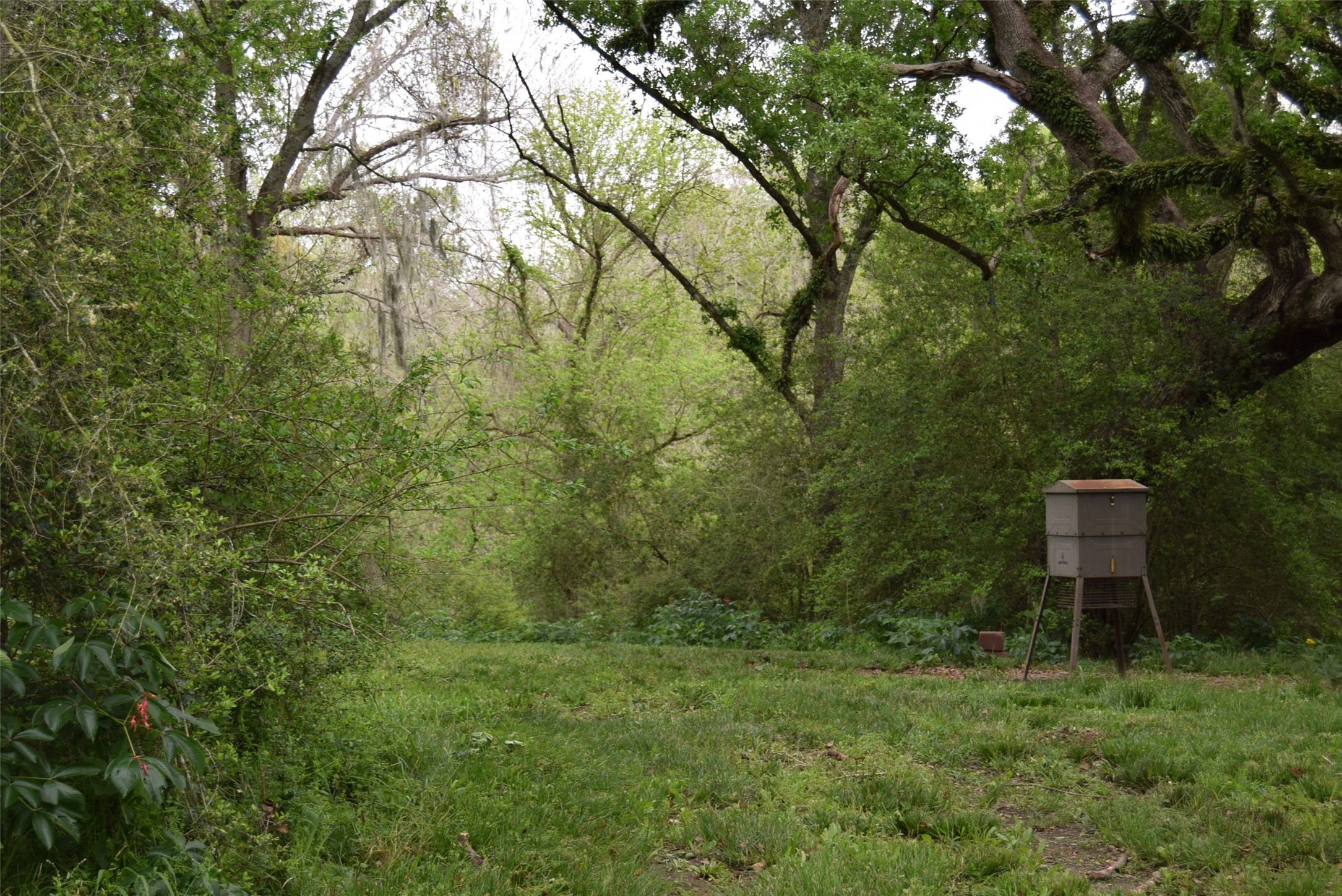 00 Lake View Road Property Photo 28