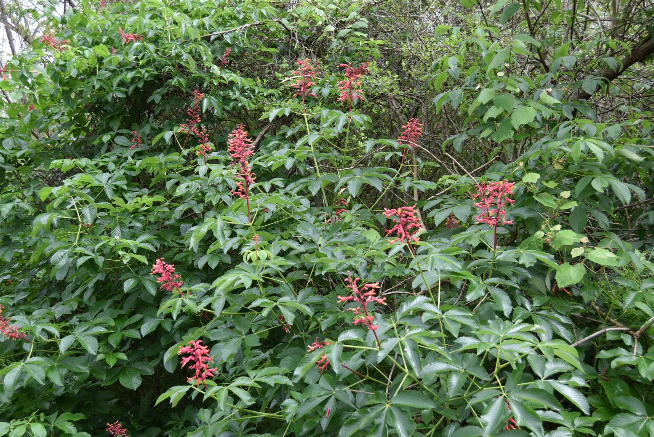 00 Lake View Road Property Photo 34