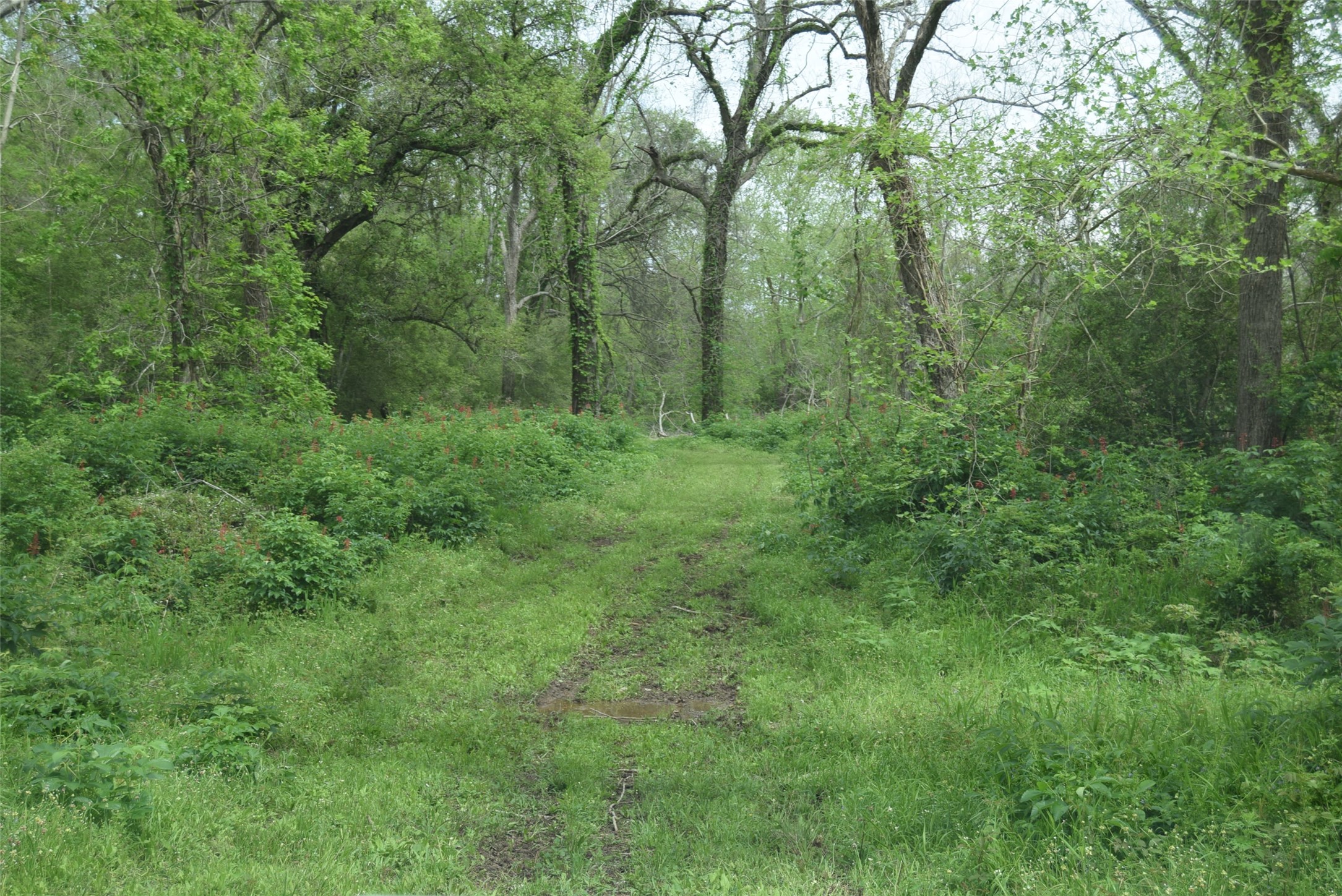 00 Lake View Road Property Photo 35