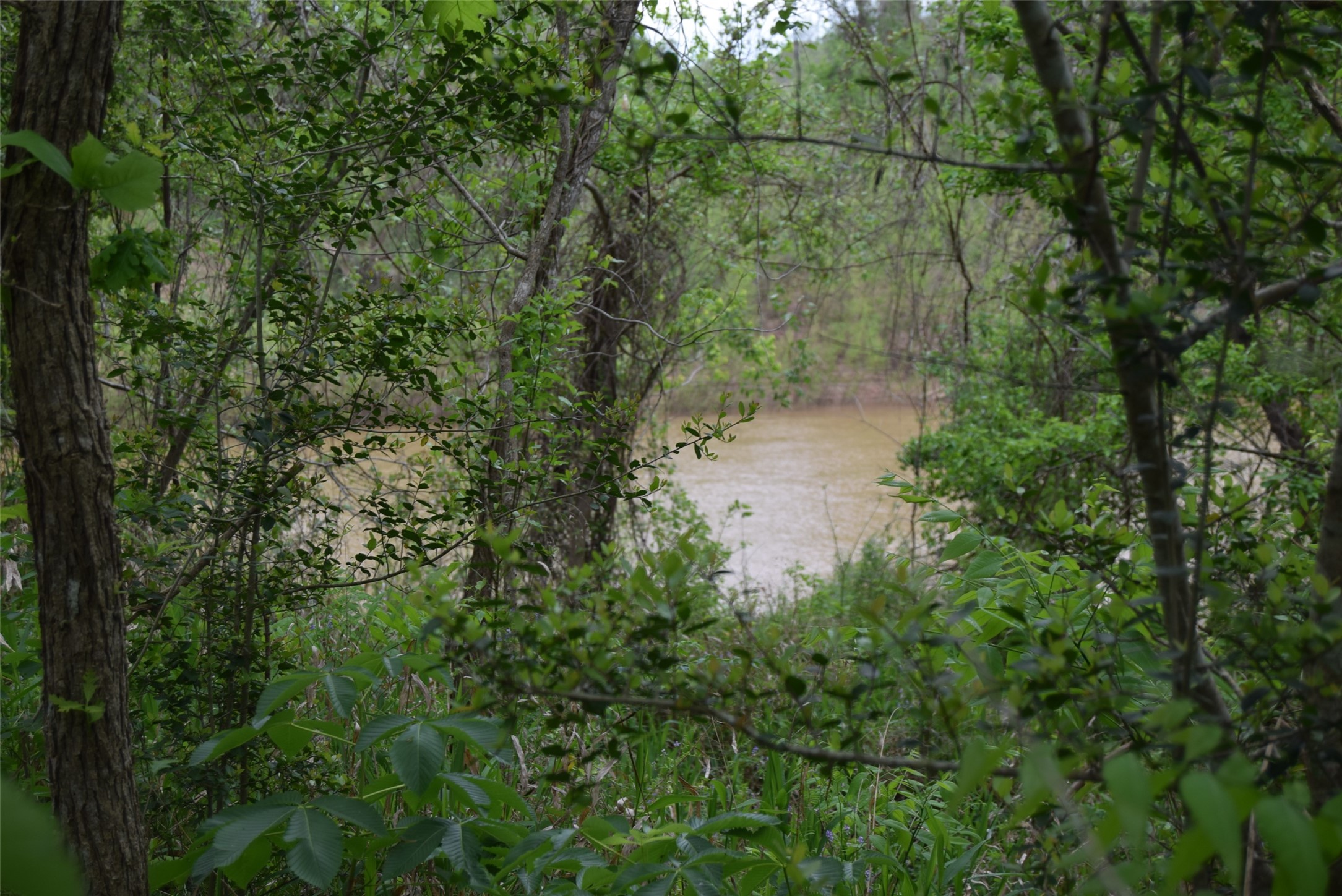 00 Lake View Road Property Photo 38