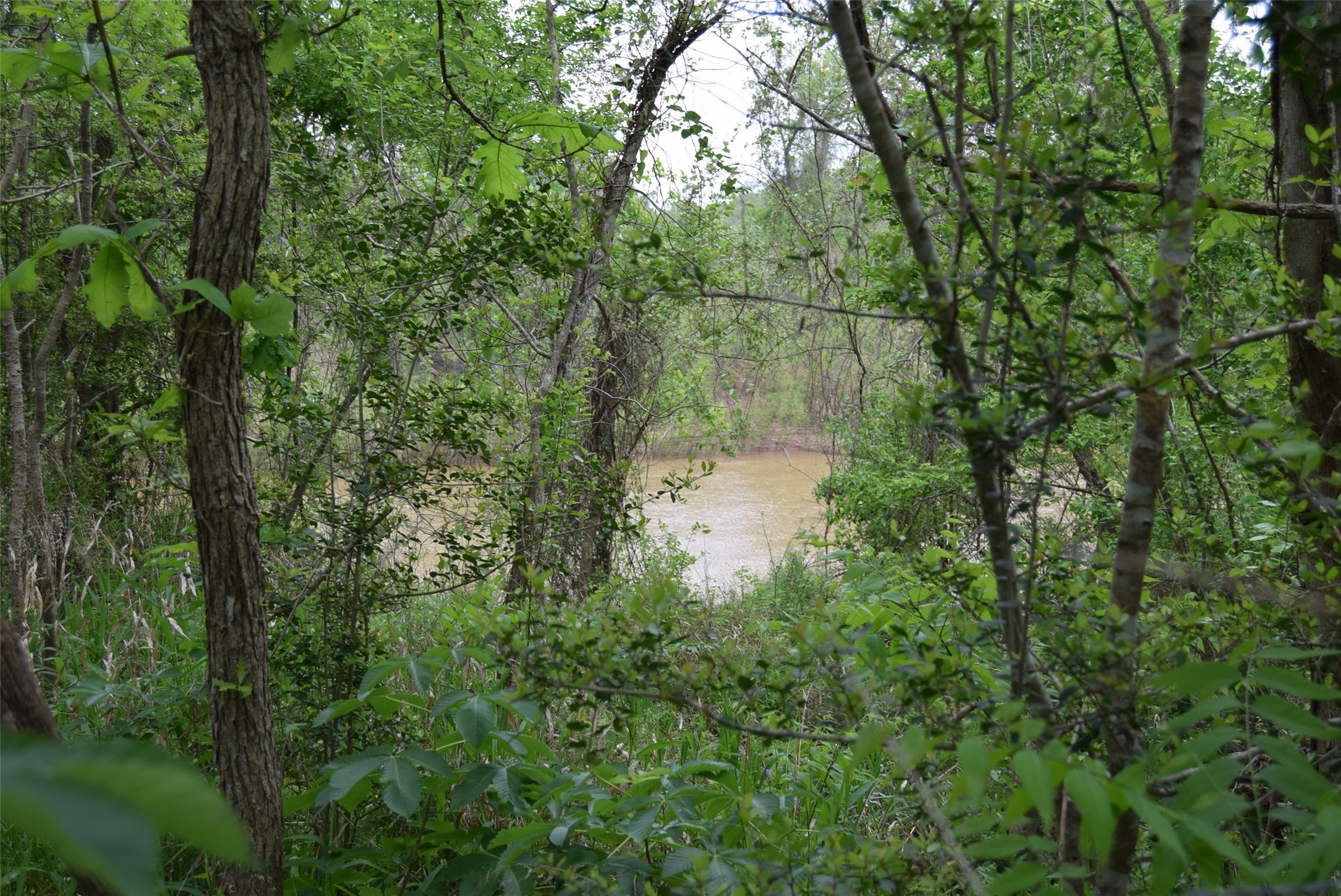 00 Lake View Road Property Photo 40