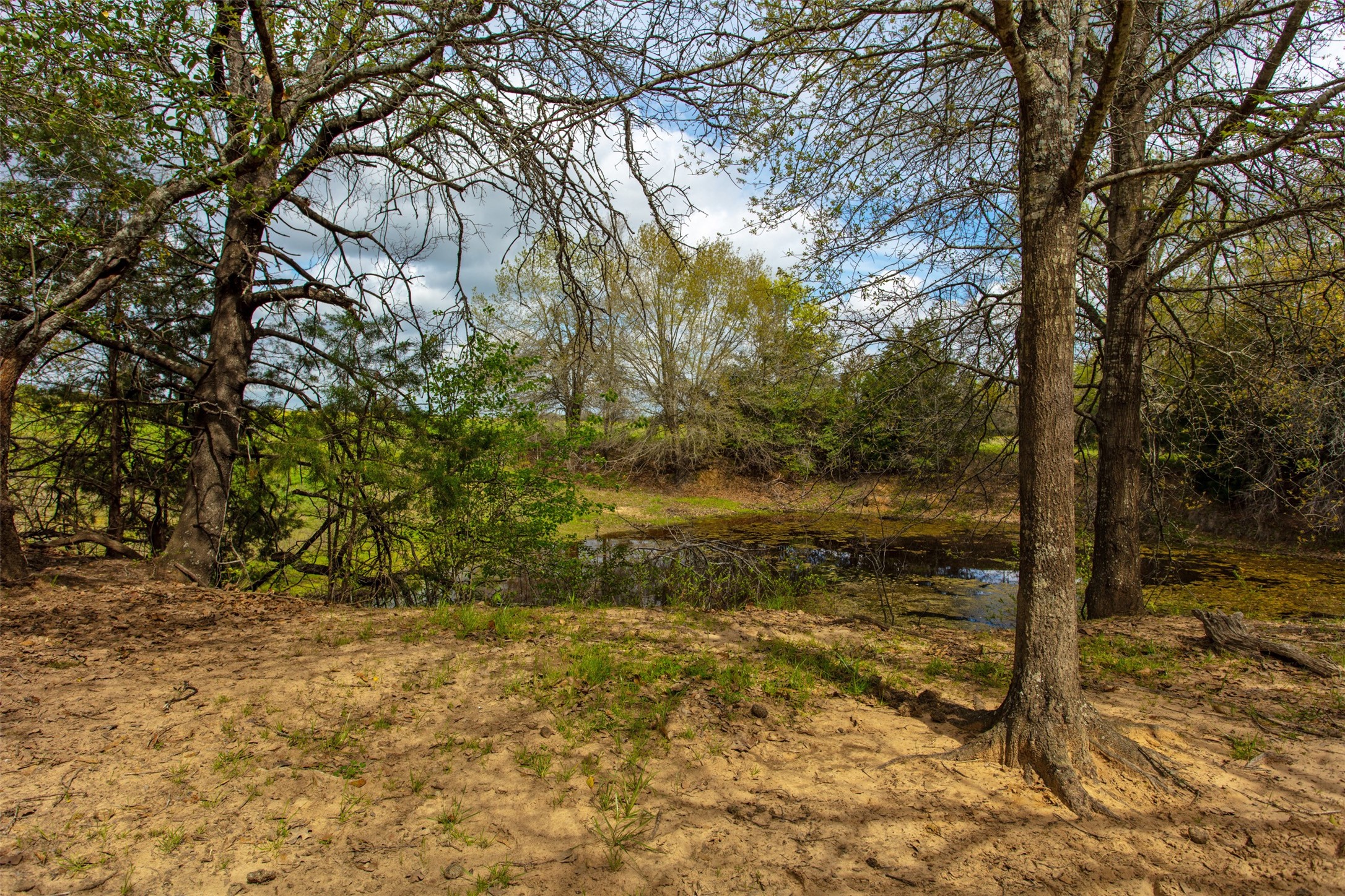 3882 Webb Cemetary Road Property Photo 4