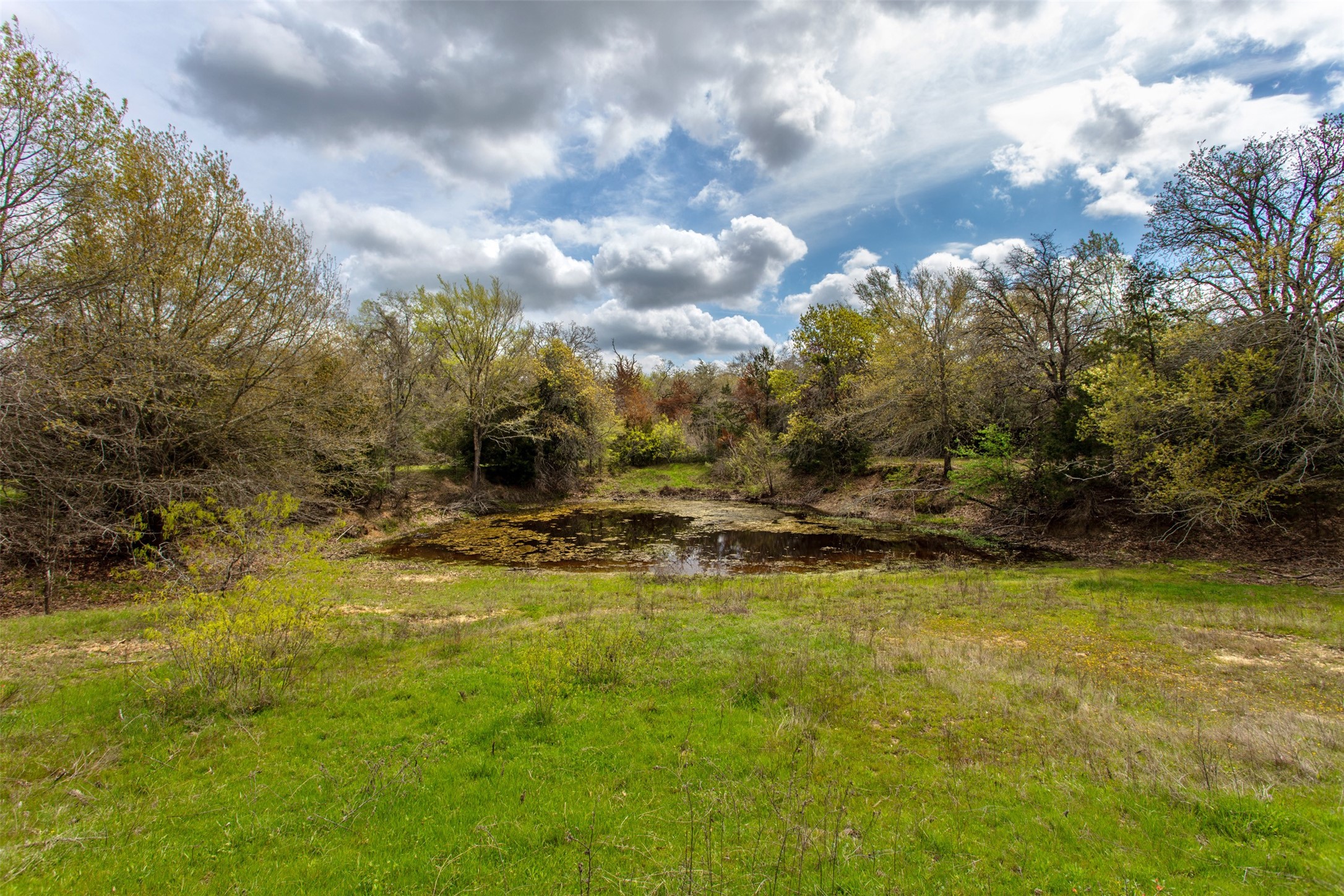 3882 Webb Cemetary Road Property Photo 5