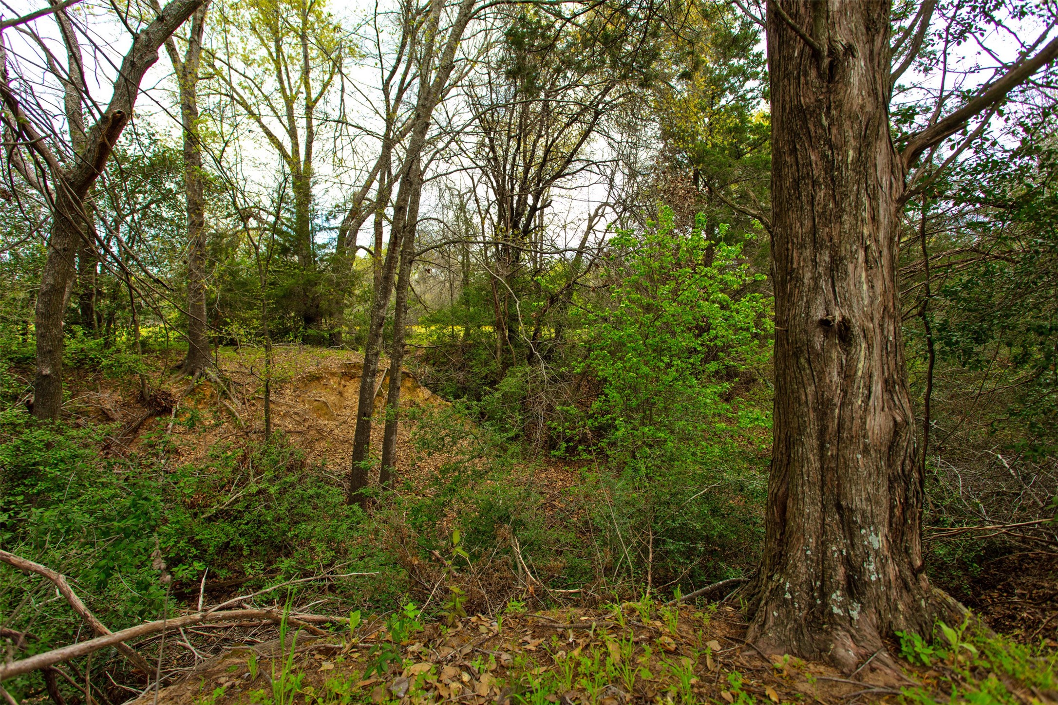 3882 Webb Cemetary Road Property Photo 6