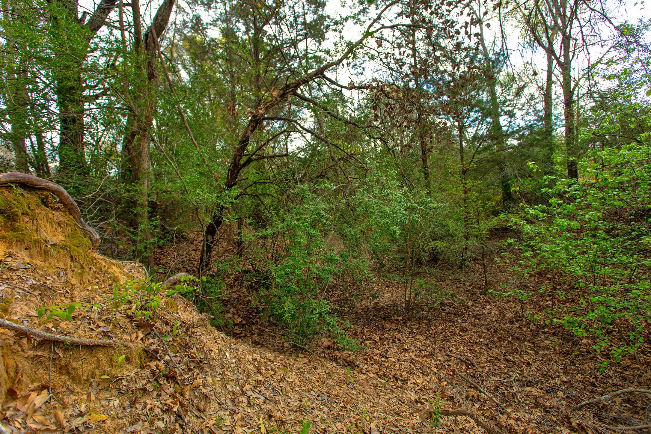 3882 Webb Cemetary Road Property Photo 7