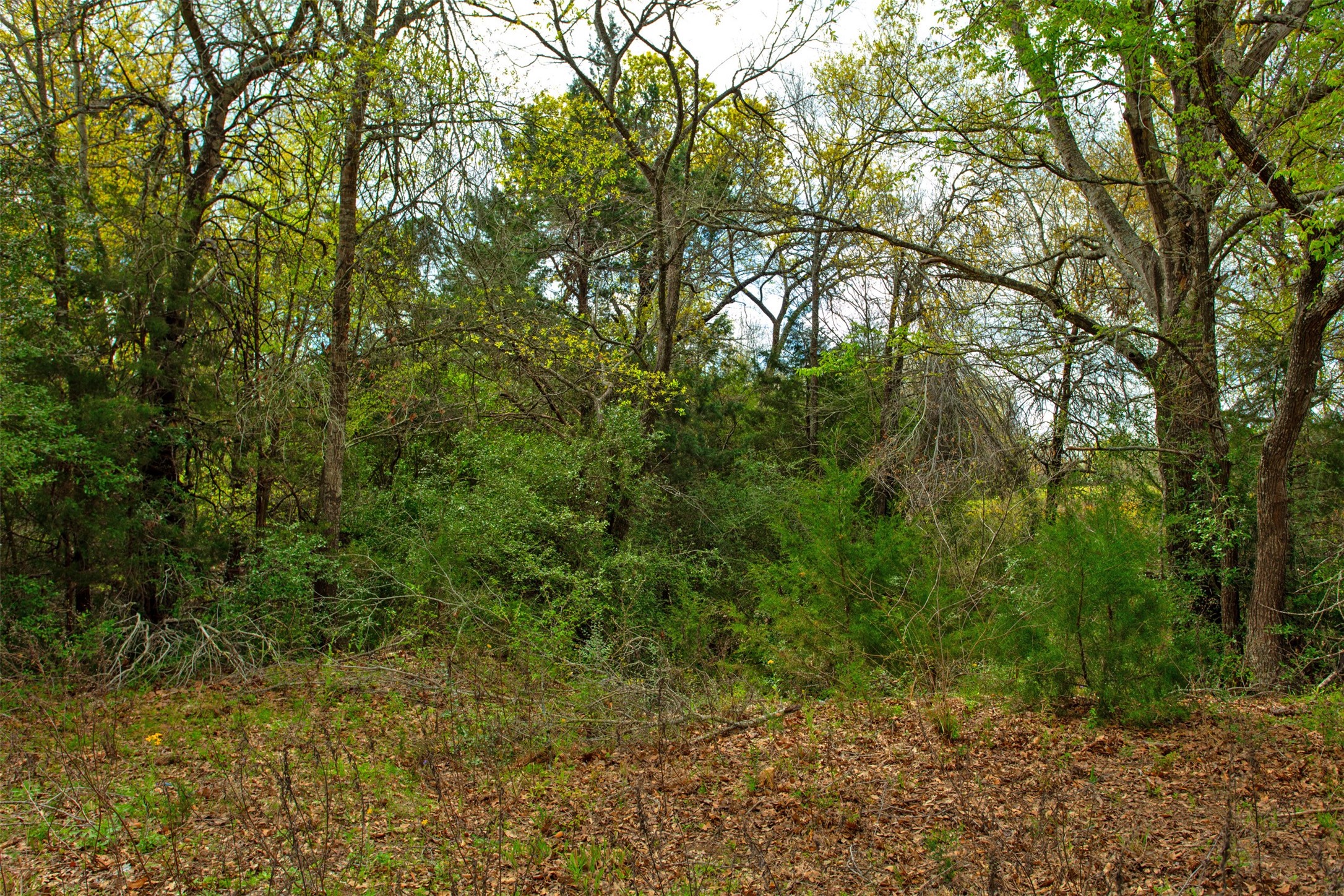 3882 Webb Cemetary Road Property Photo 9