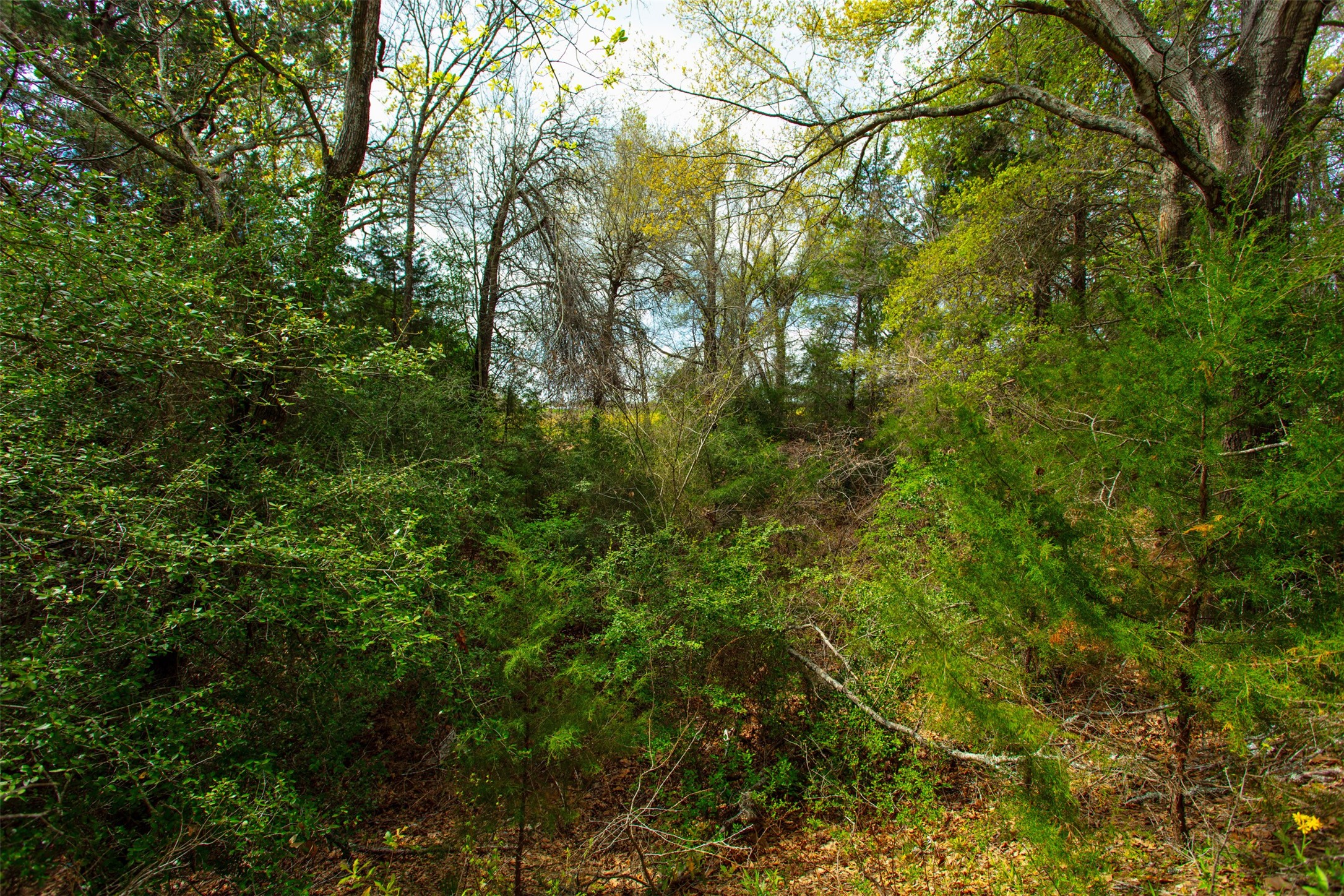 3882 Webb Cemetary Road Property Photo 10