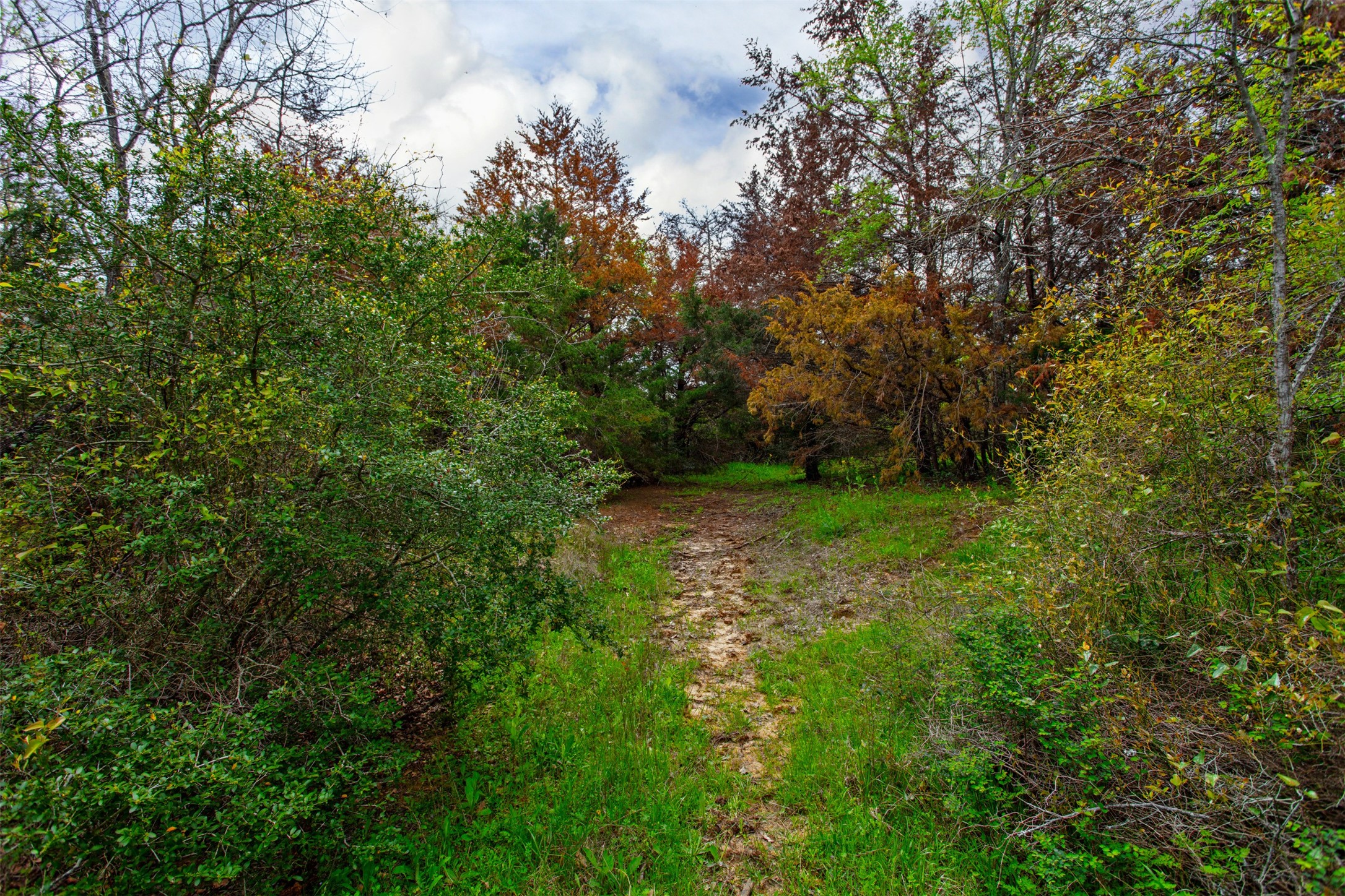 3882 Webb Cemetary Road Property Photo 13