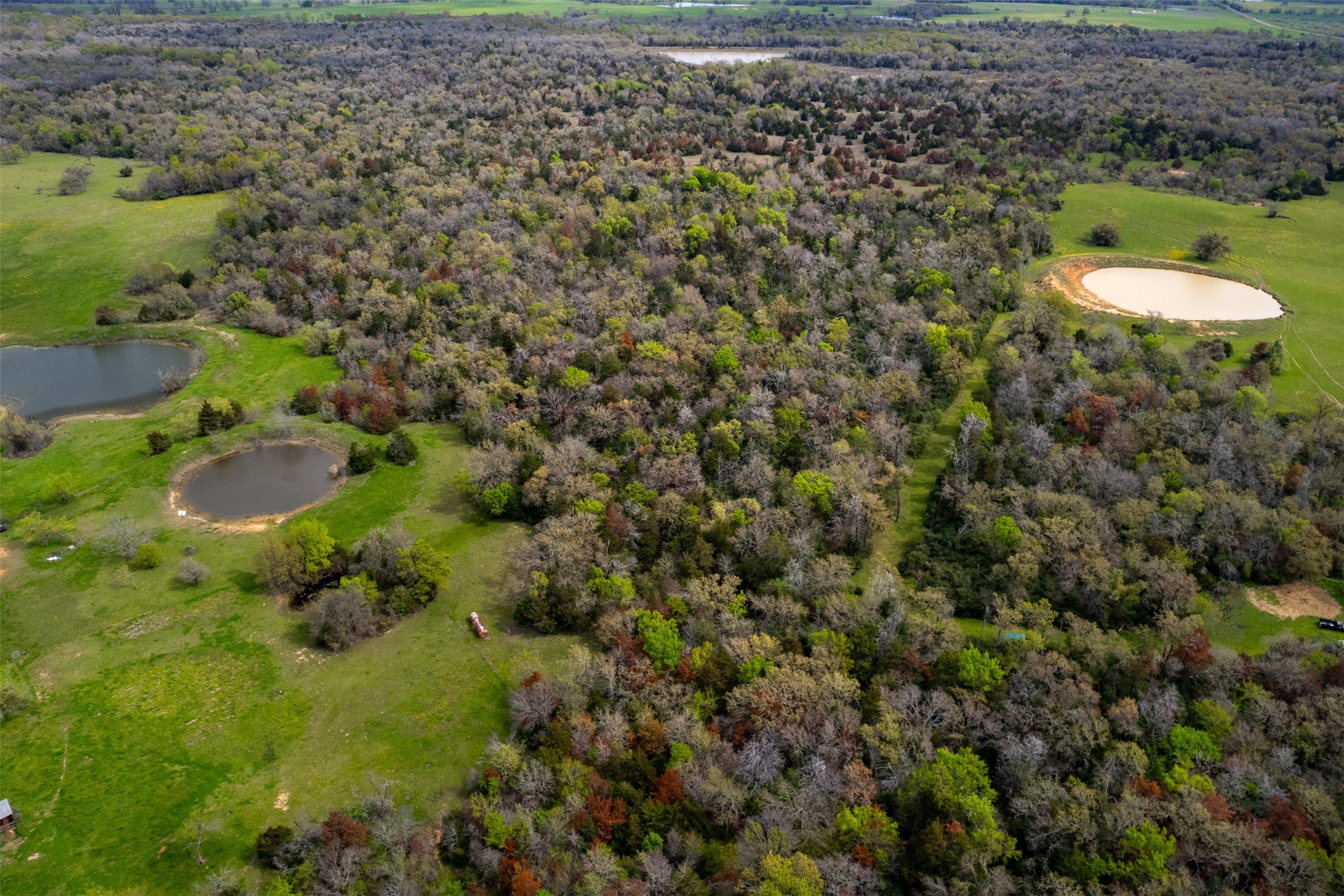 3882 Webb Cemetary Road Property Photo 15