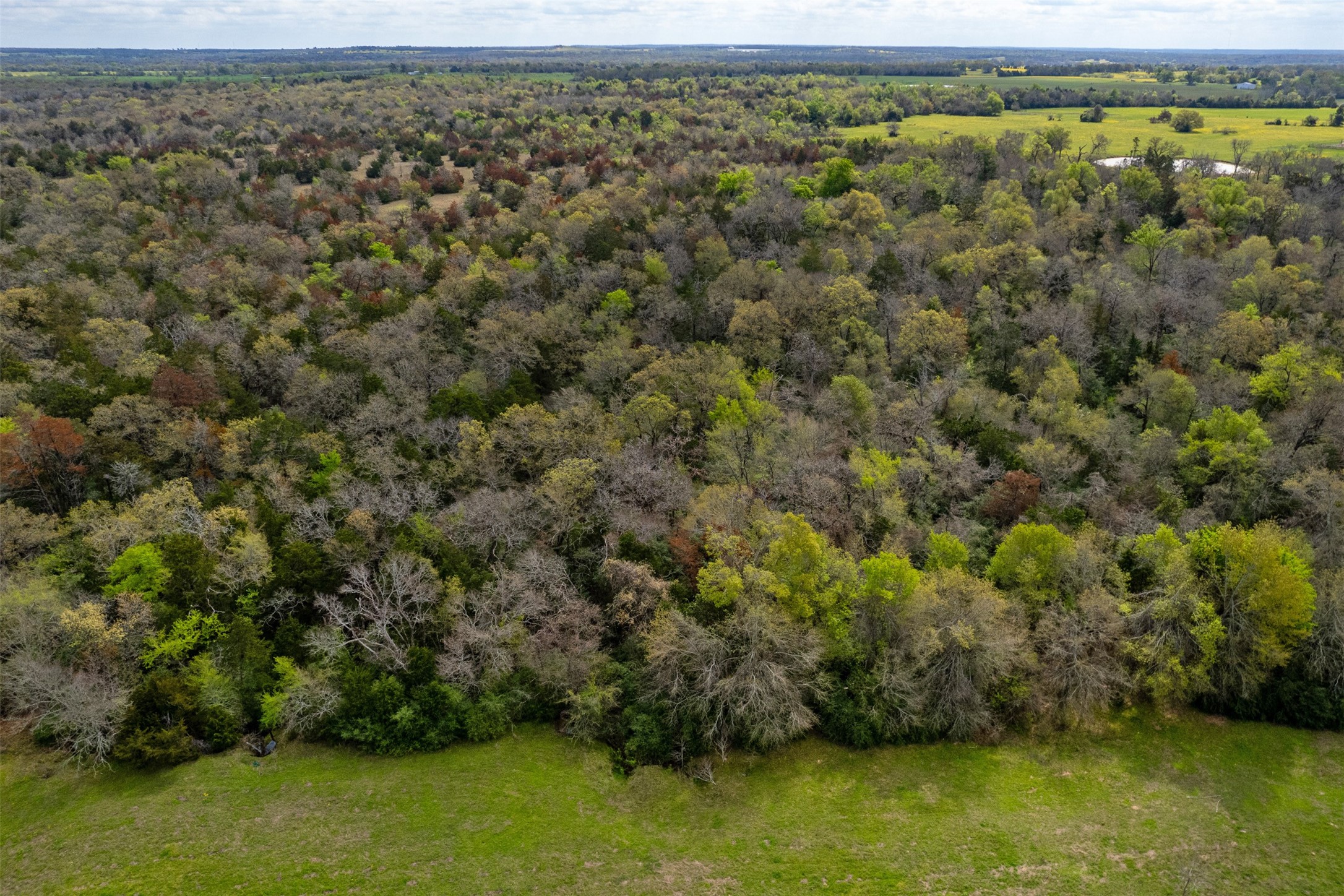 3882 Webb Cemetary Road Property Photo 17