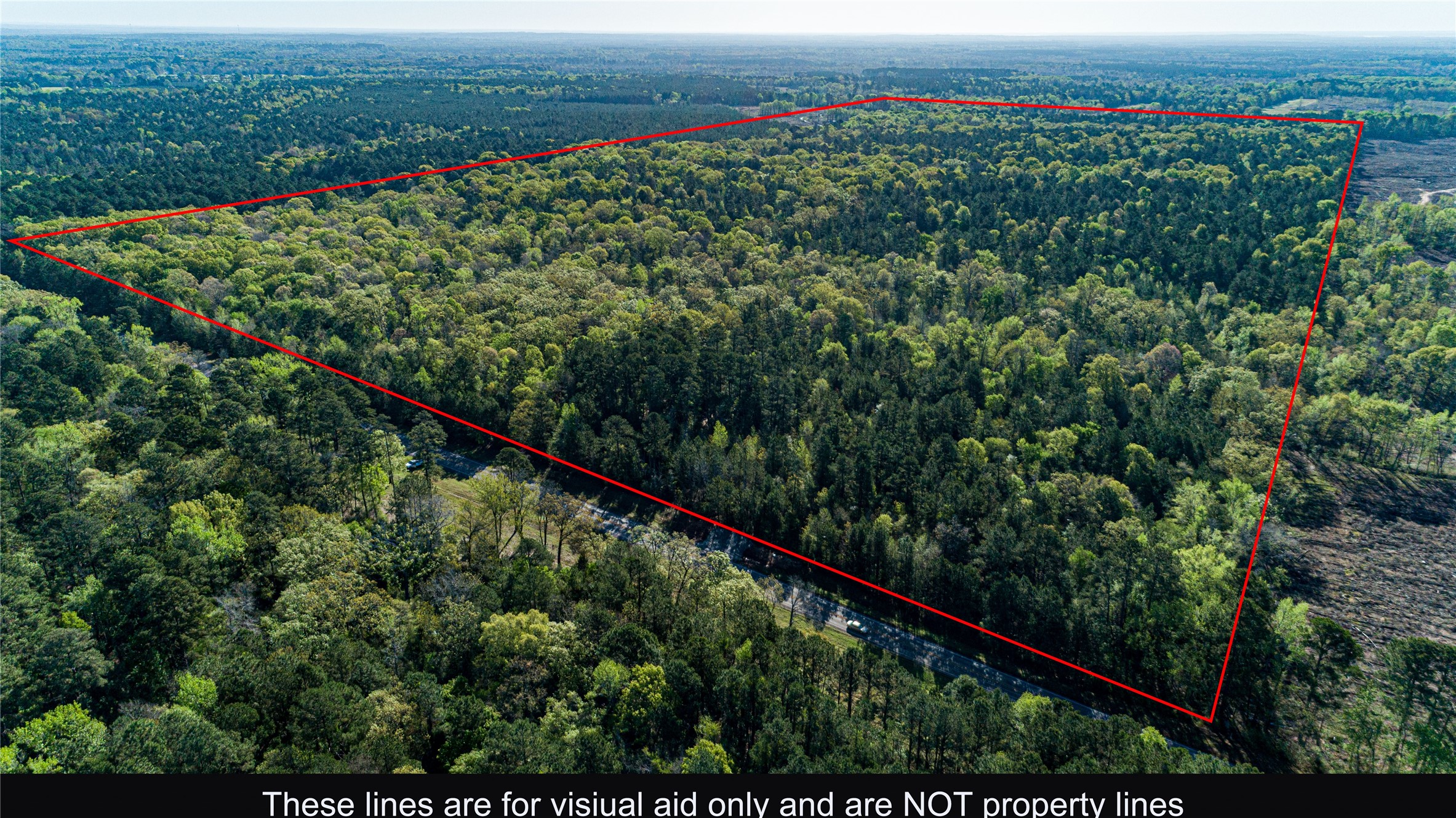 000 Hwy 49 Property Photo 11