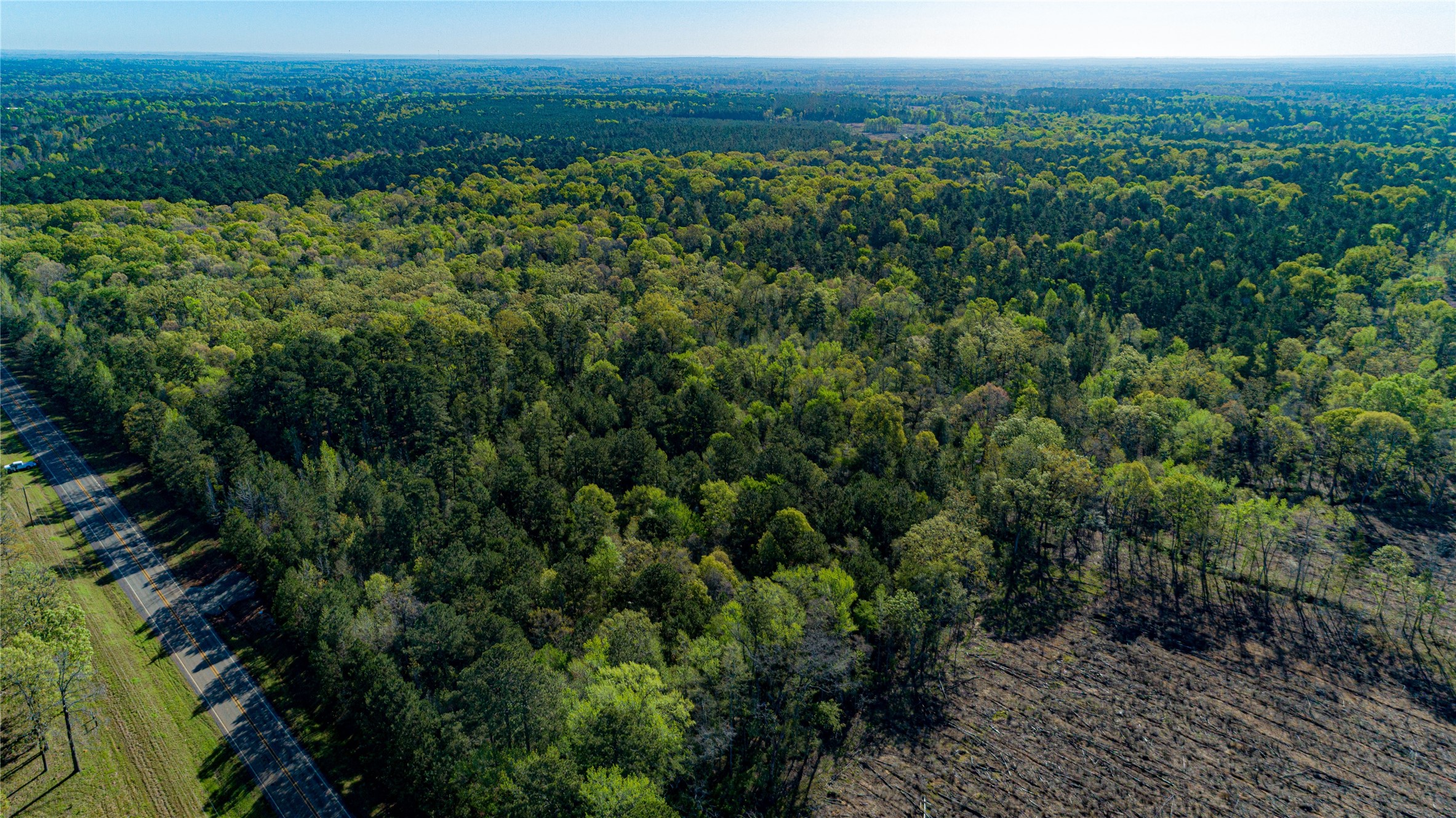 000 Hwy 49 Property Photo 33