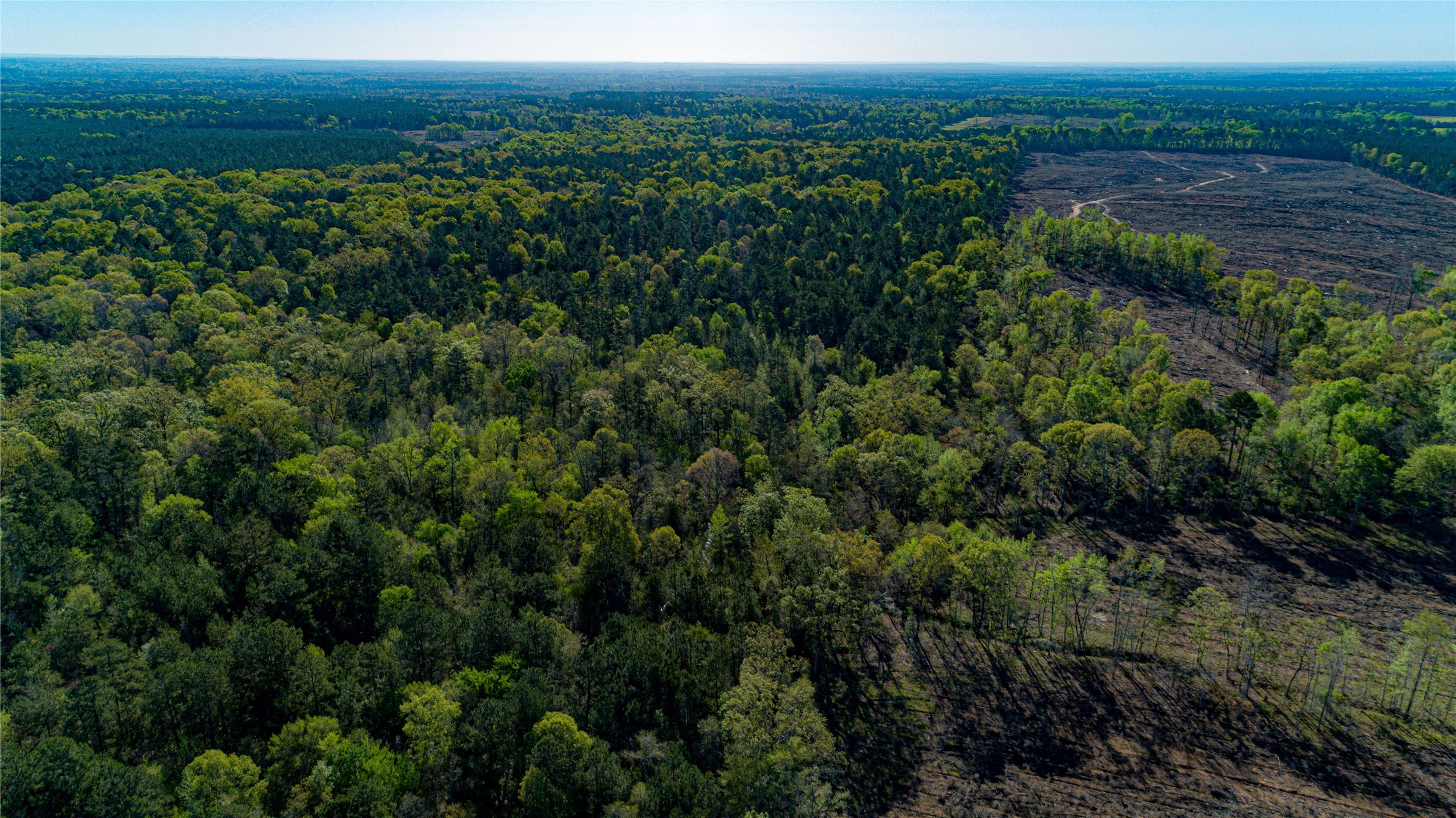 000 Hwy 49 Property Photo 38