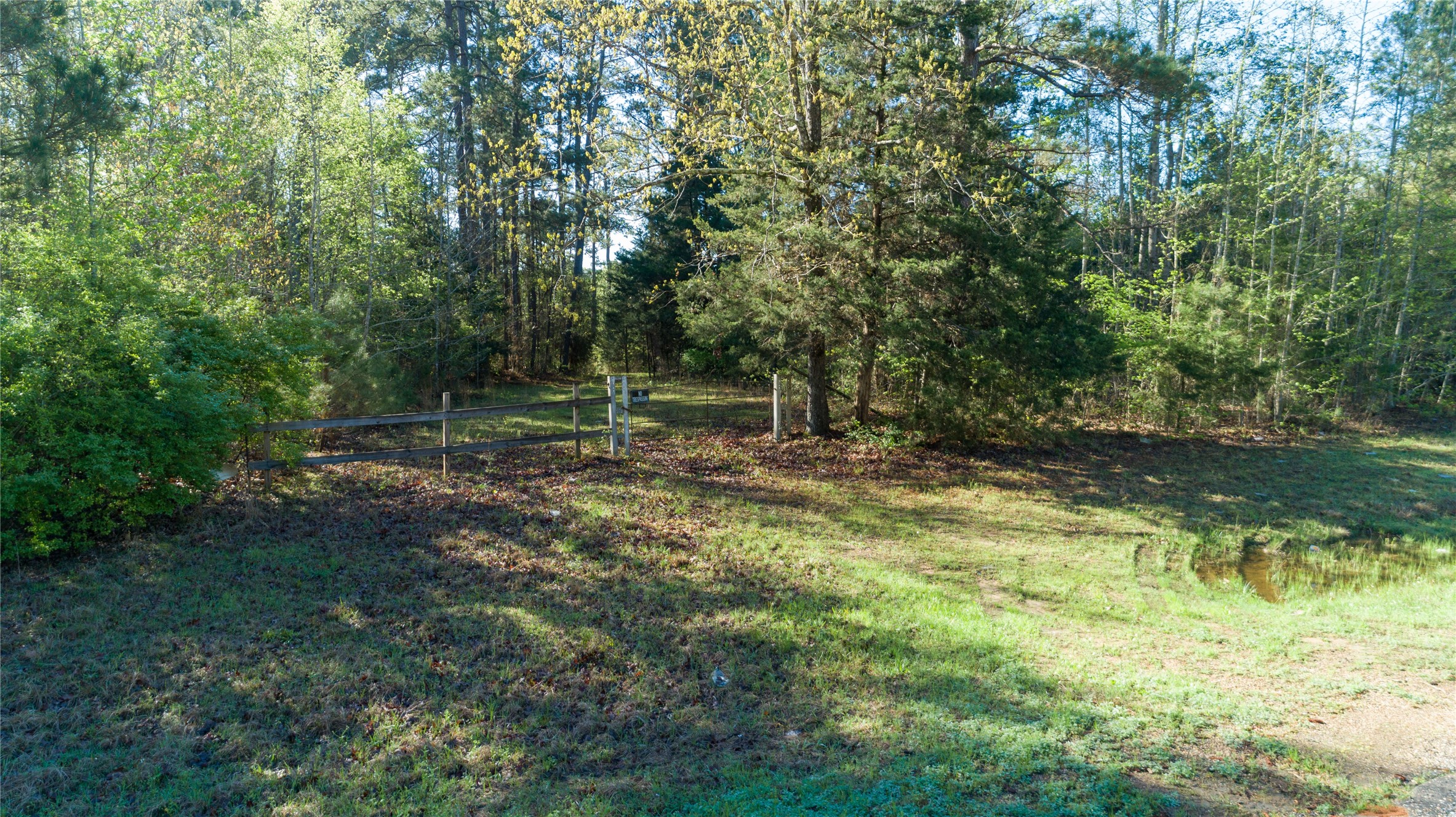 000 Hwy 49 Property Photo 44