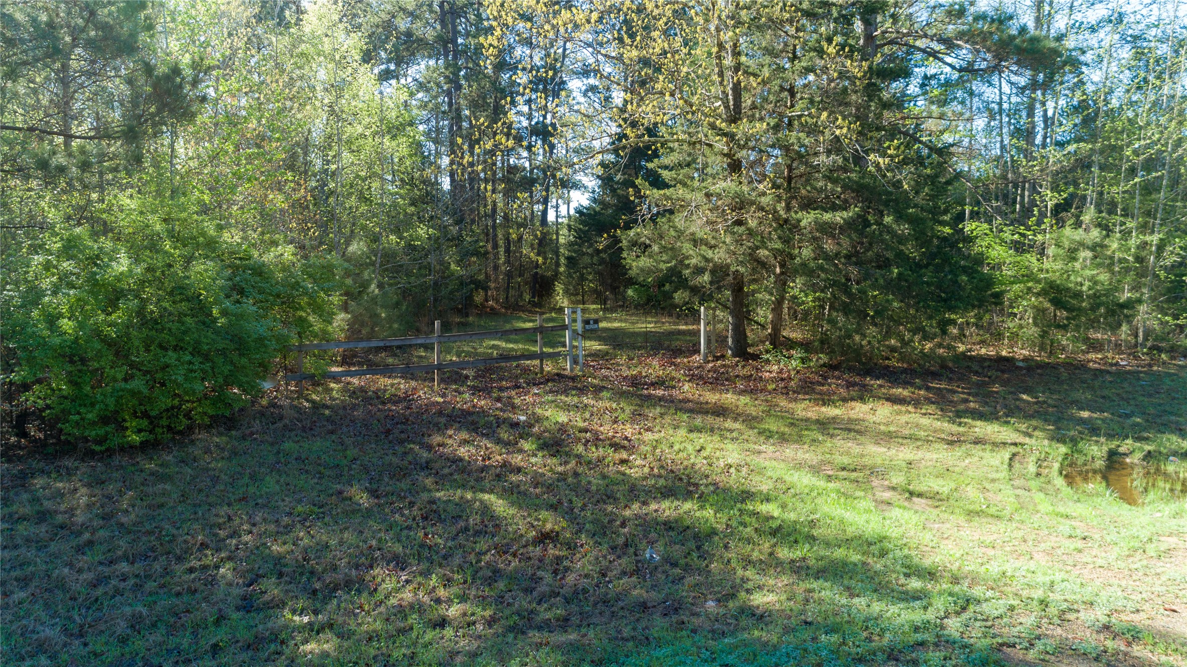 000 Hwy 49 Property Photo 45