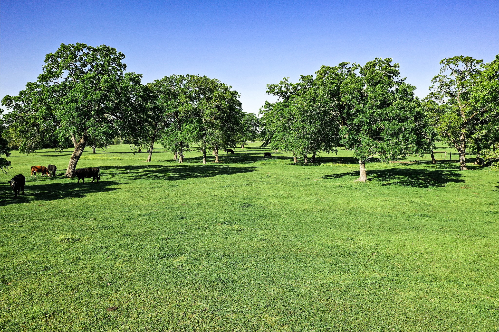 661 B Fm 2550 Property Photo 1