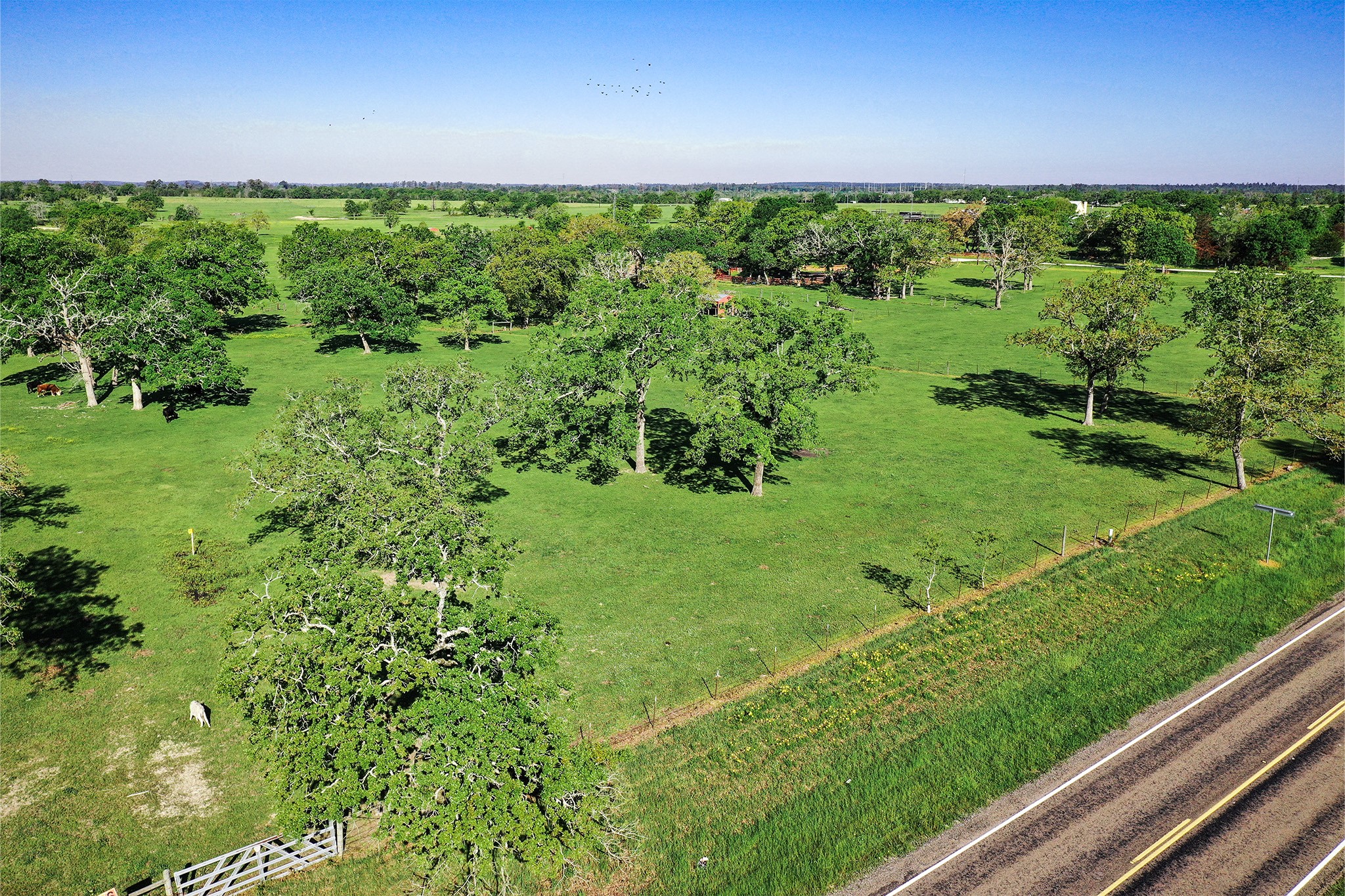 661 B Fm 2550 Property Photo 5