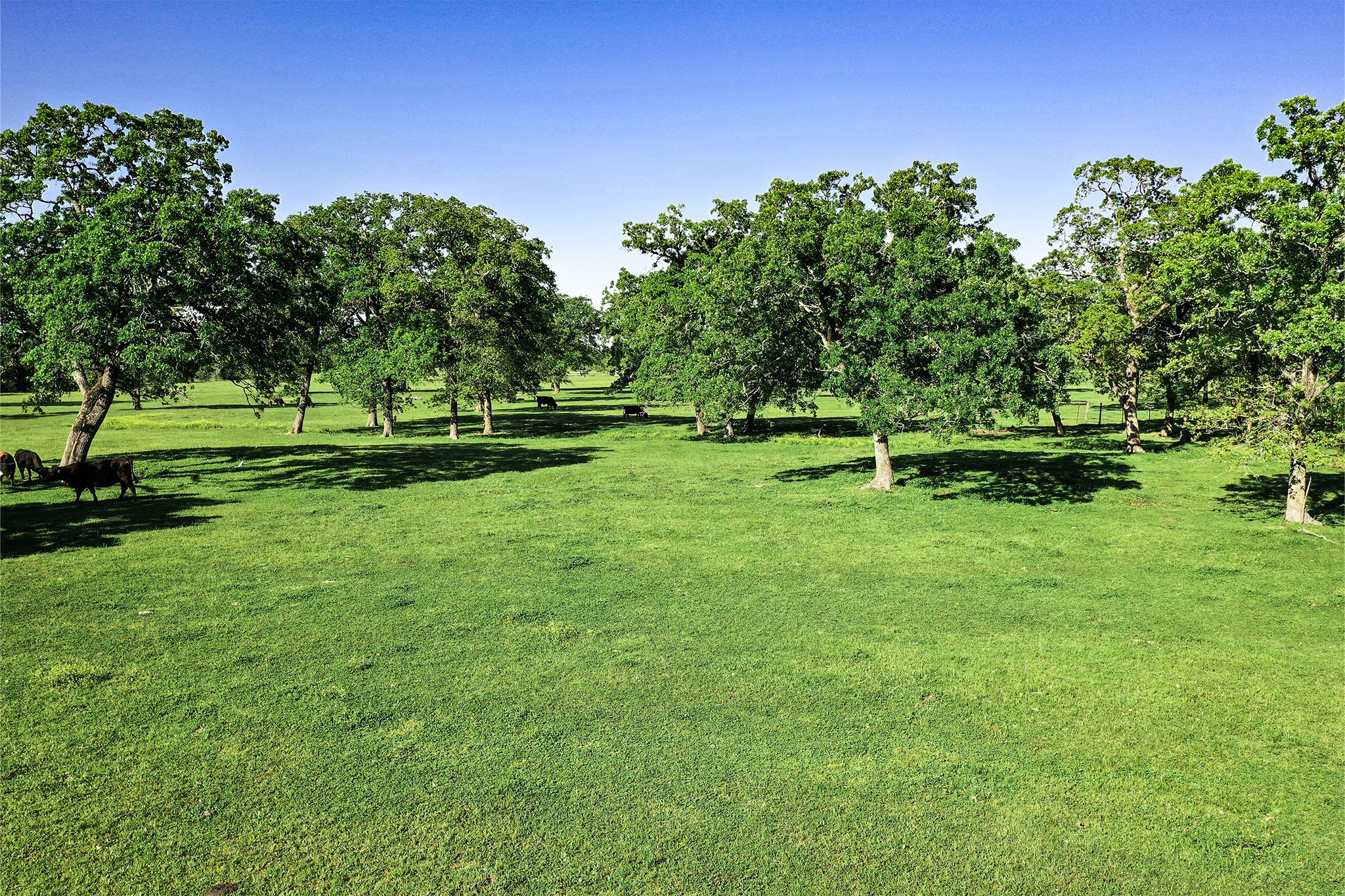 661 B Fm 2550 Property Photo 14