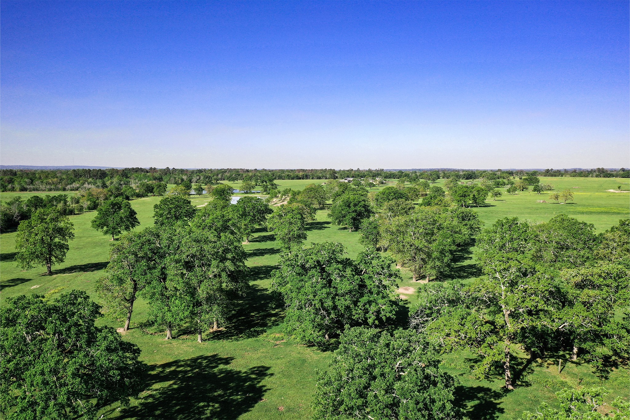 661 B Fm 2550 Property Photo 15